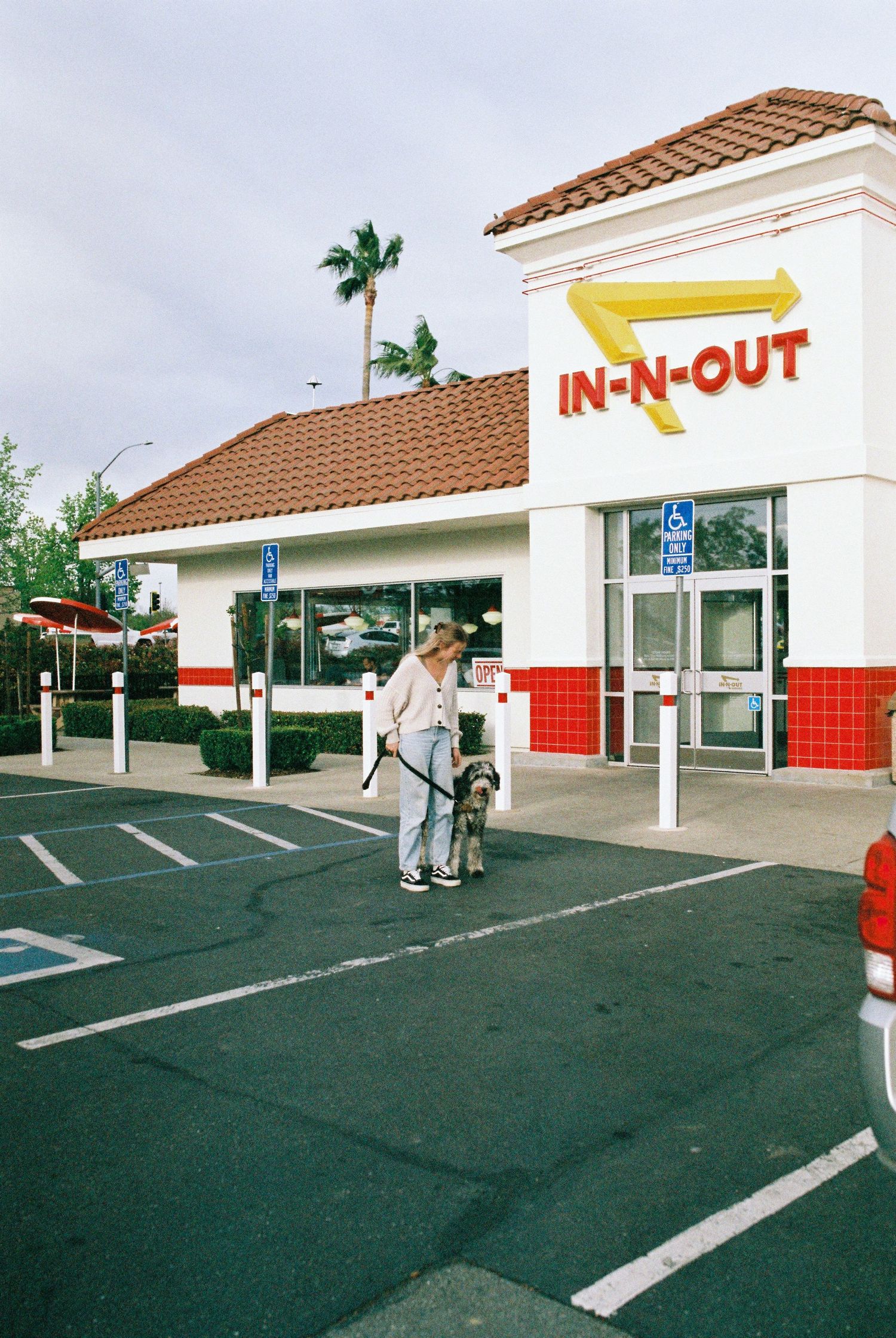 An In-N-Out Burger restaurant exterior with Spanish tile roof, palm trees, and red accents in the parking lot.