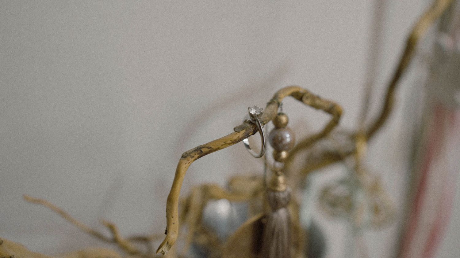 Close-up macro photograph of a praying mantis on a light beige background.