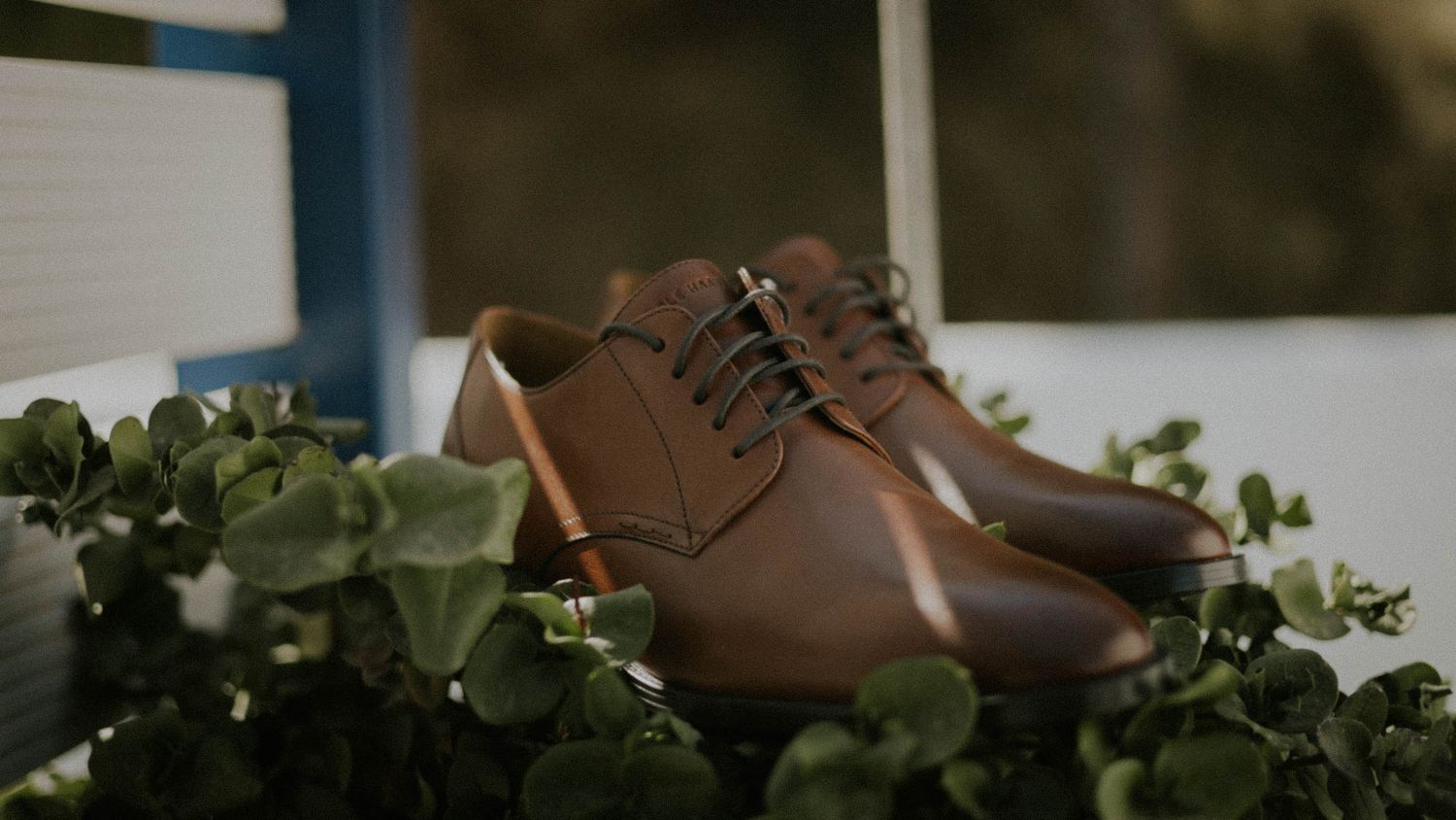 A pair of polished brown leather dress shoes sits nestled among green leafy plants.