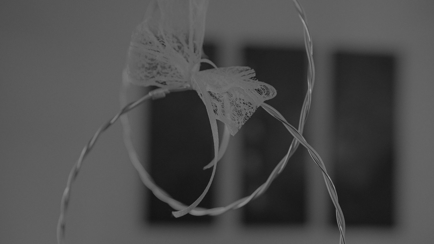 A delicate monochrome spider lily flower in bloom shows its curved petals and long stamens against a dark background.