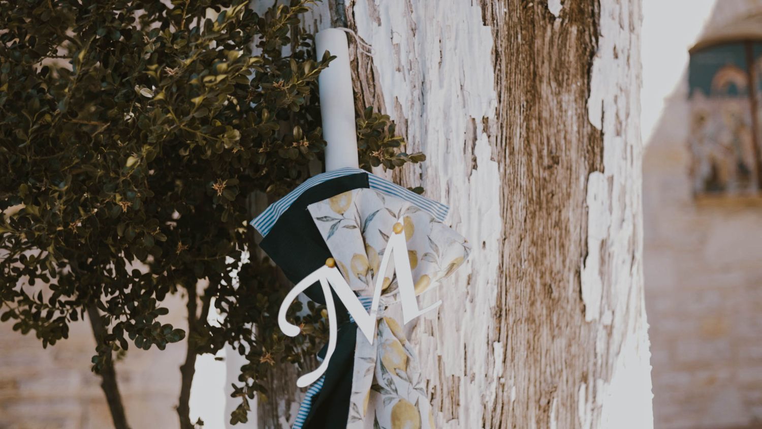 A vintage-style bicycle with a light blue frame leans against a whitewashed wall near leafy branches.