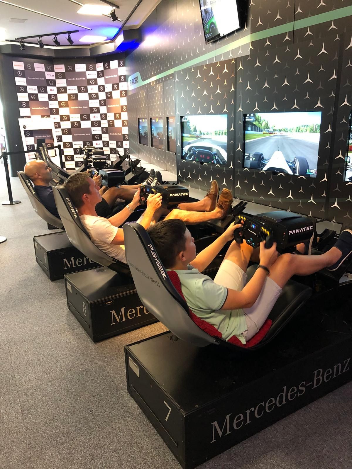 Mercedes World Sim