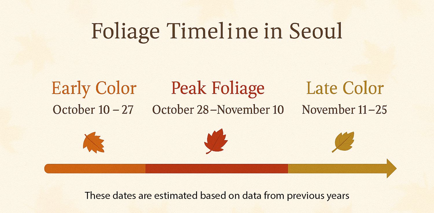 A timeline graphic showing the autumn foliage progression in Seoul from October to November with color-coded dates.