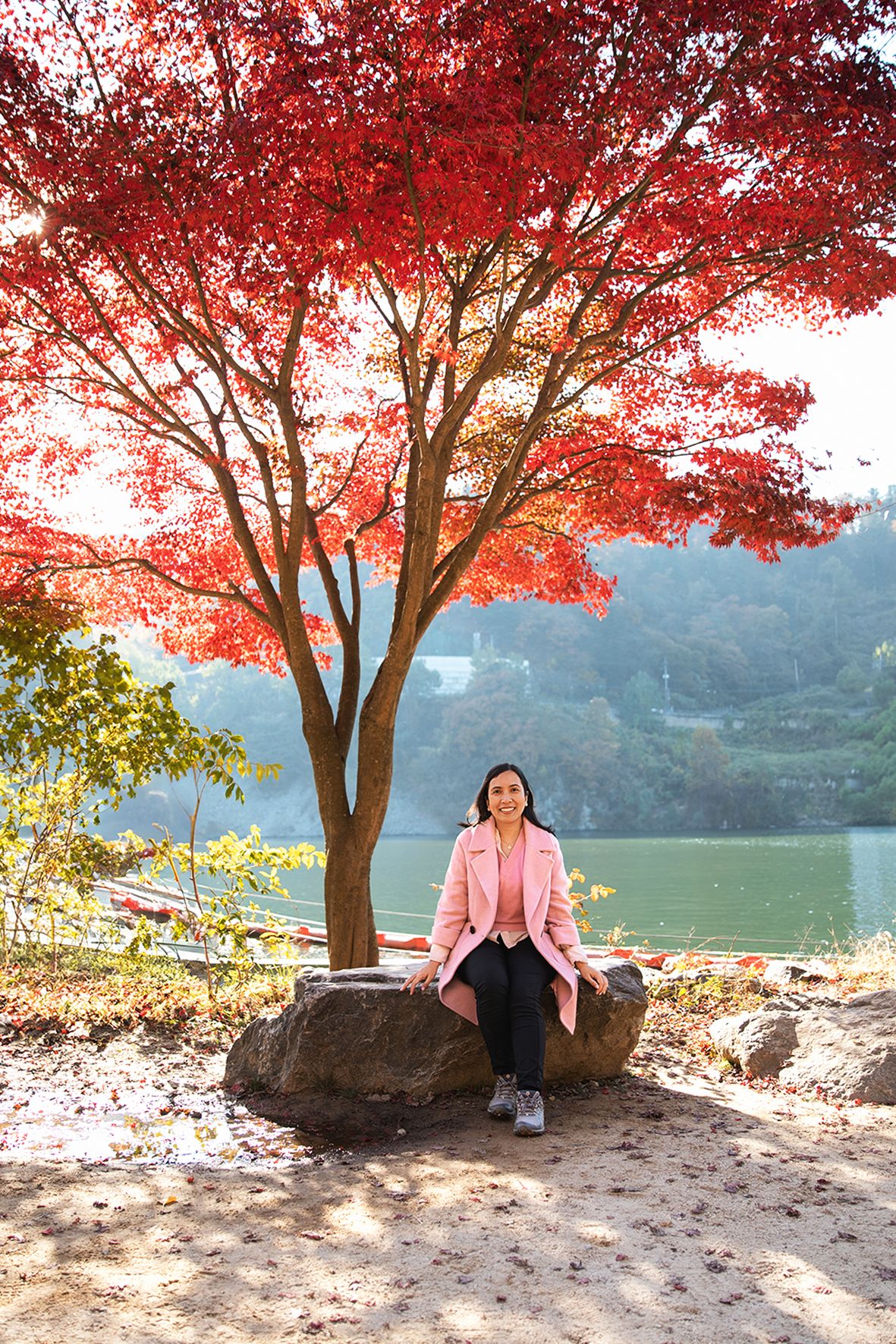 A vibrant red maple tree frames a peaceful lake scene in autumn with mountain views in the background.