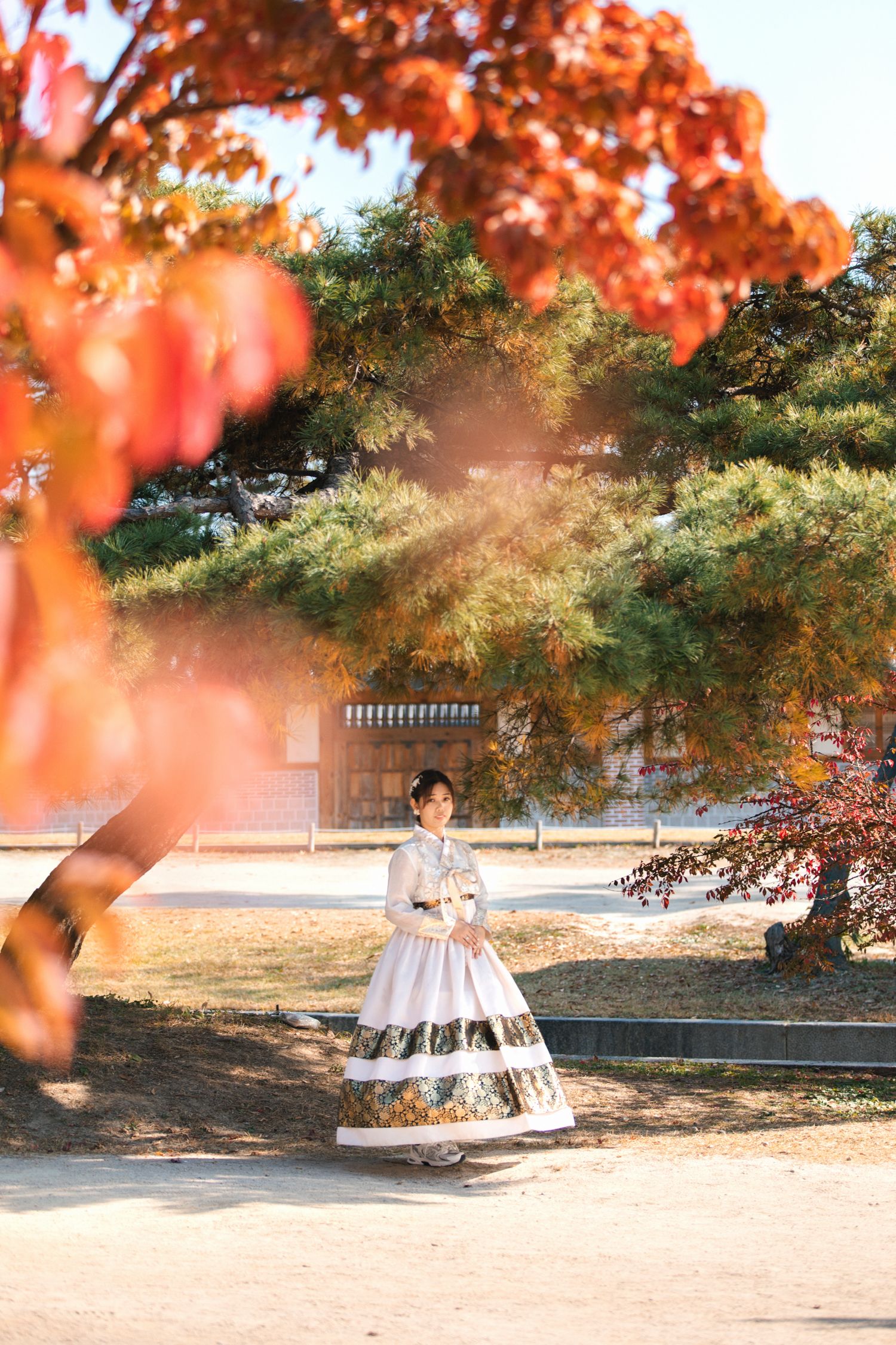 Traditional Korean hanbok dress photographed among vibrant autumn maple leaves at historic site.