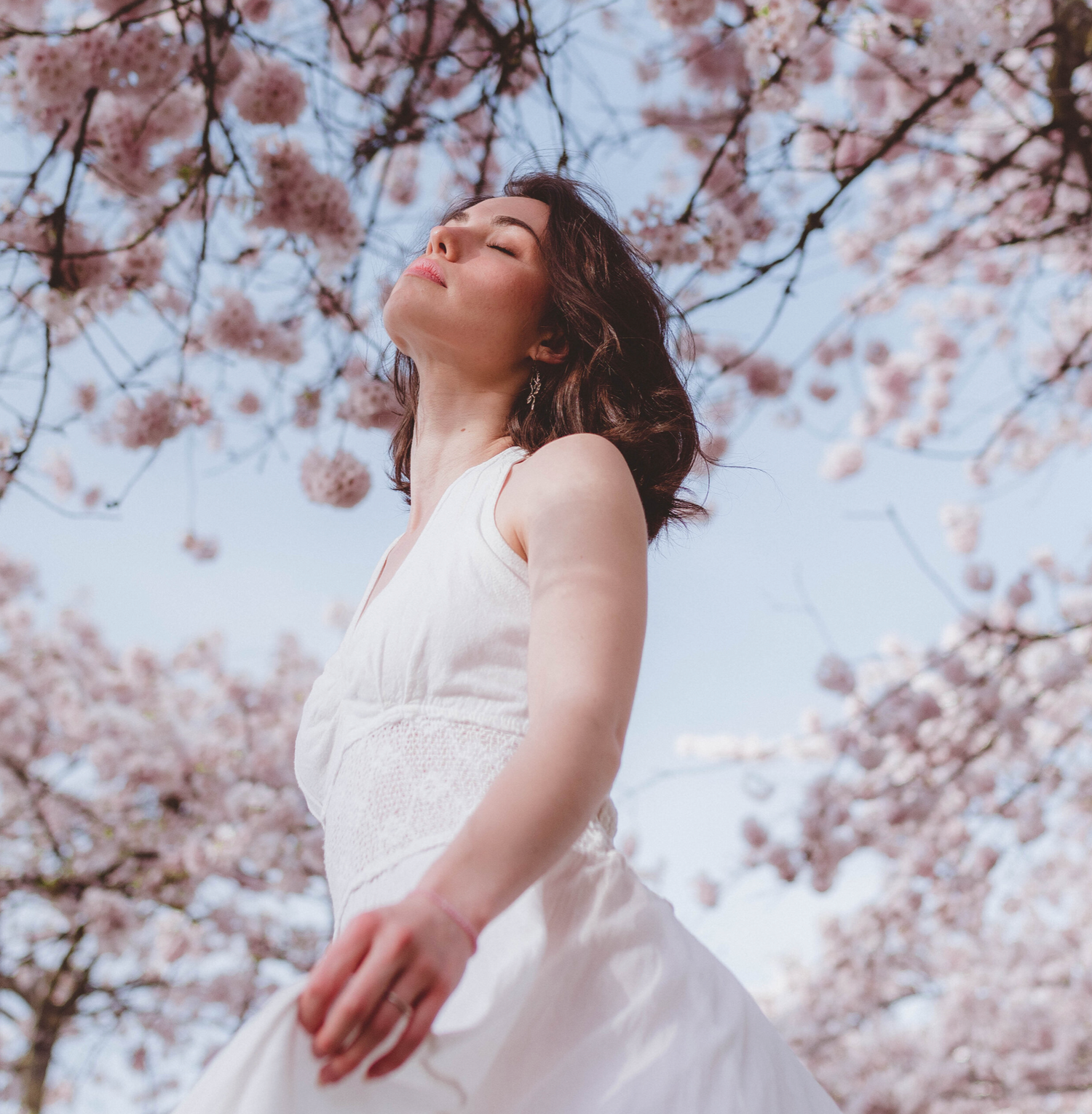 Someone in a flowing white dress gazing upward beneath blooming cherry blossom trees on a spring day in Seoul