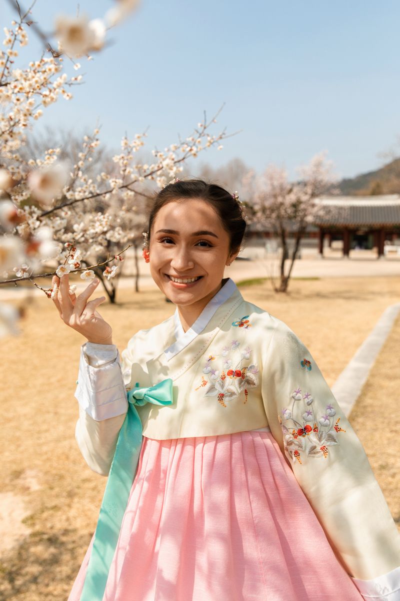 Person in traditional Korean hanbok dress poses under cherry blossoms with temple buildings in background.