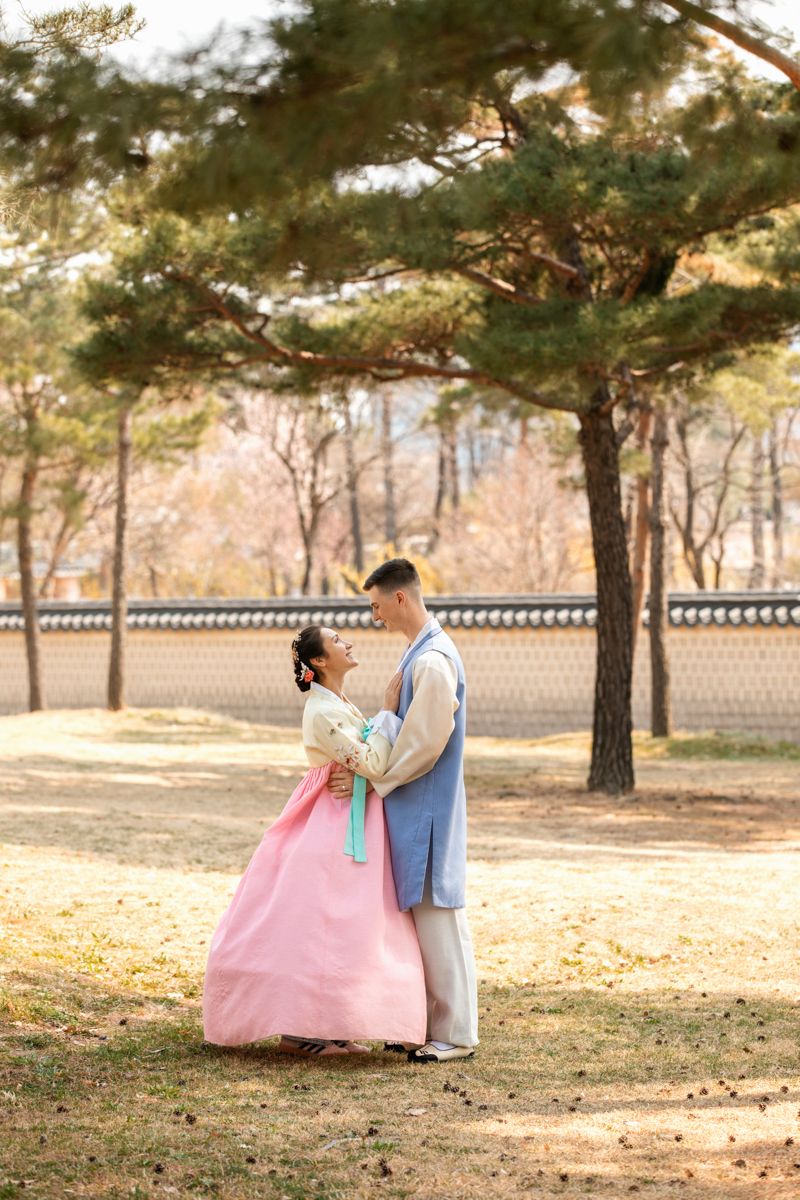 A romantic outdoor photoshoot sequence in traditional Korean hanbok attire under pine trees during autumn.