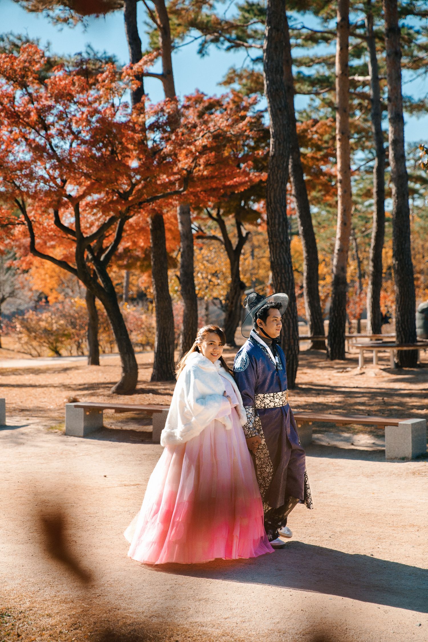 Couple in traditional Korean dress walks through autumn park with pine trees.