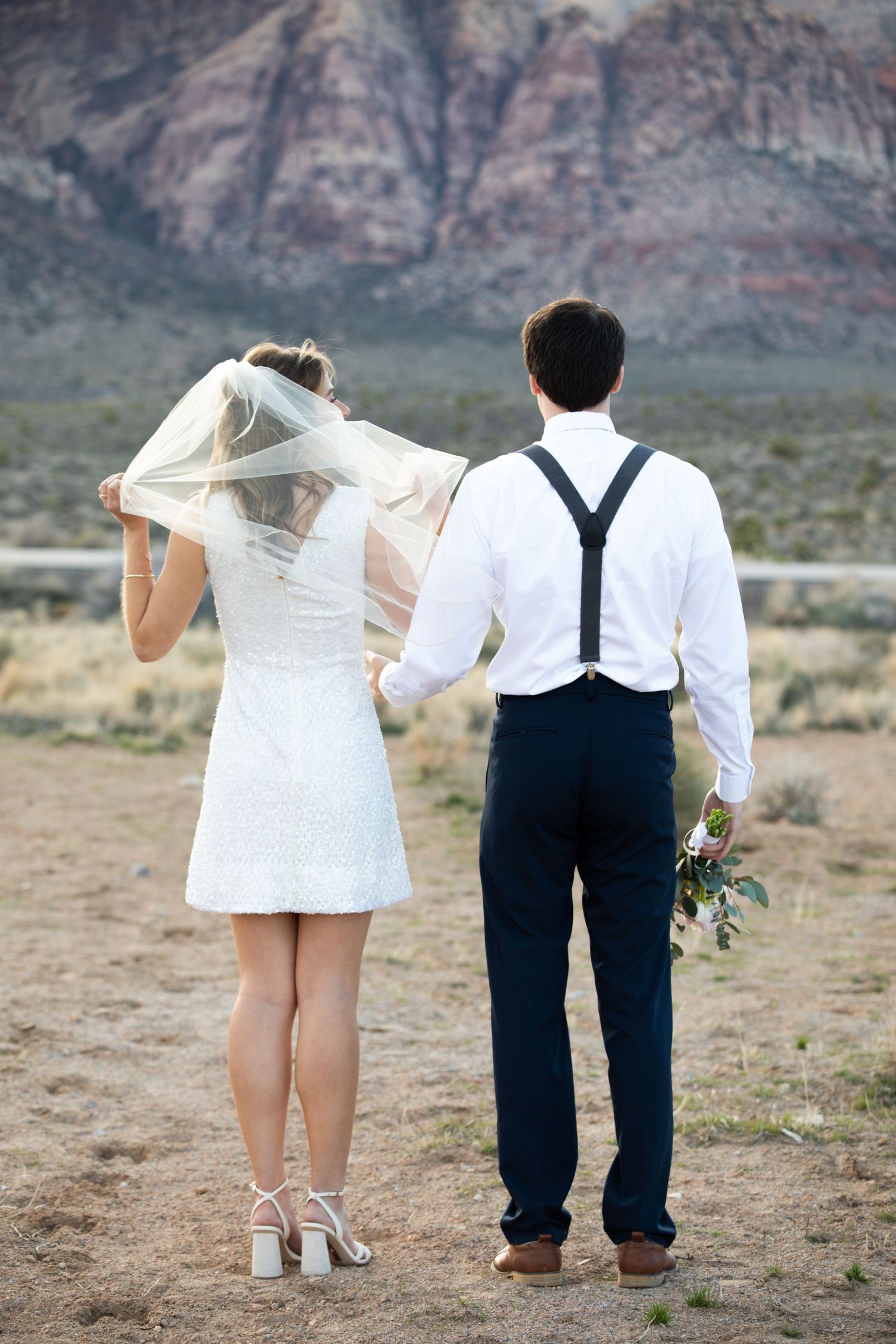 Whimsical desert wedding photo showing couple from behind against mountain backdrop.