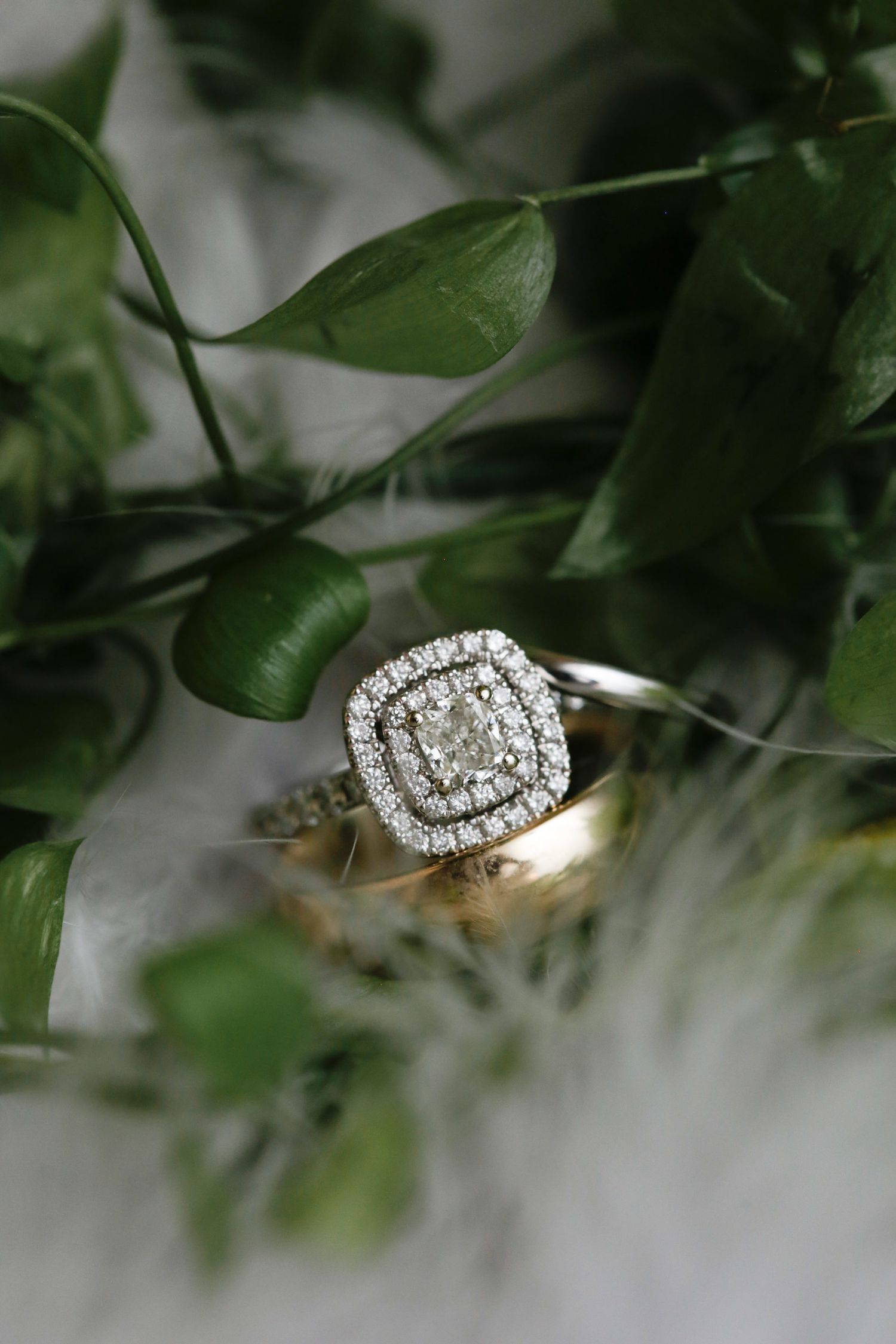 Diamond engagement ring with double halo setting nestled among green foliage.
