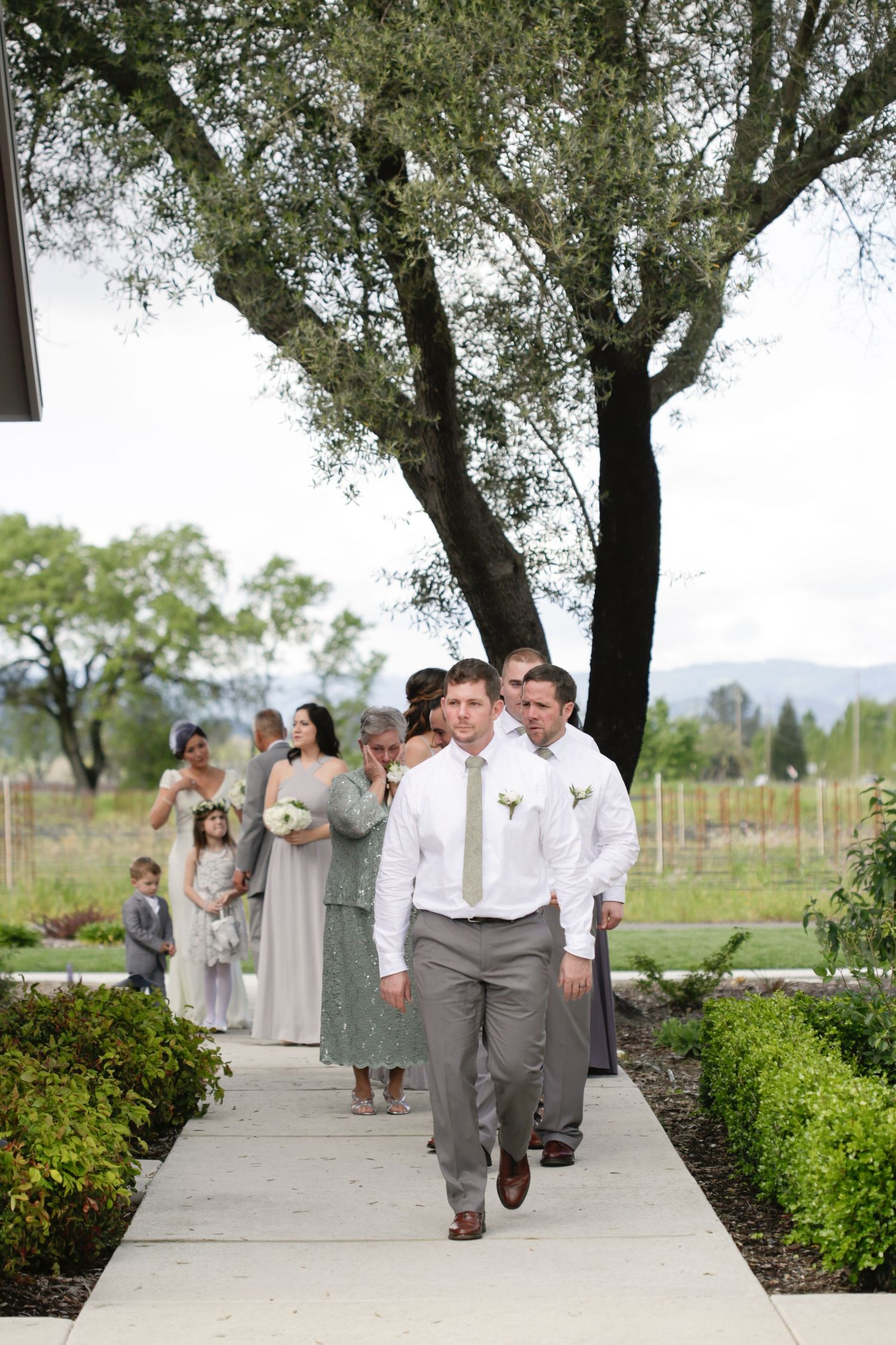 Wedding party members walk down a tree-lined concrete path wearing gray and white formal attire.