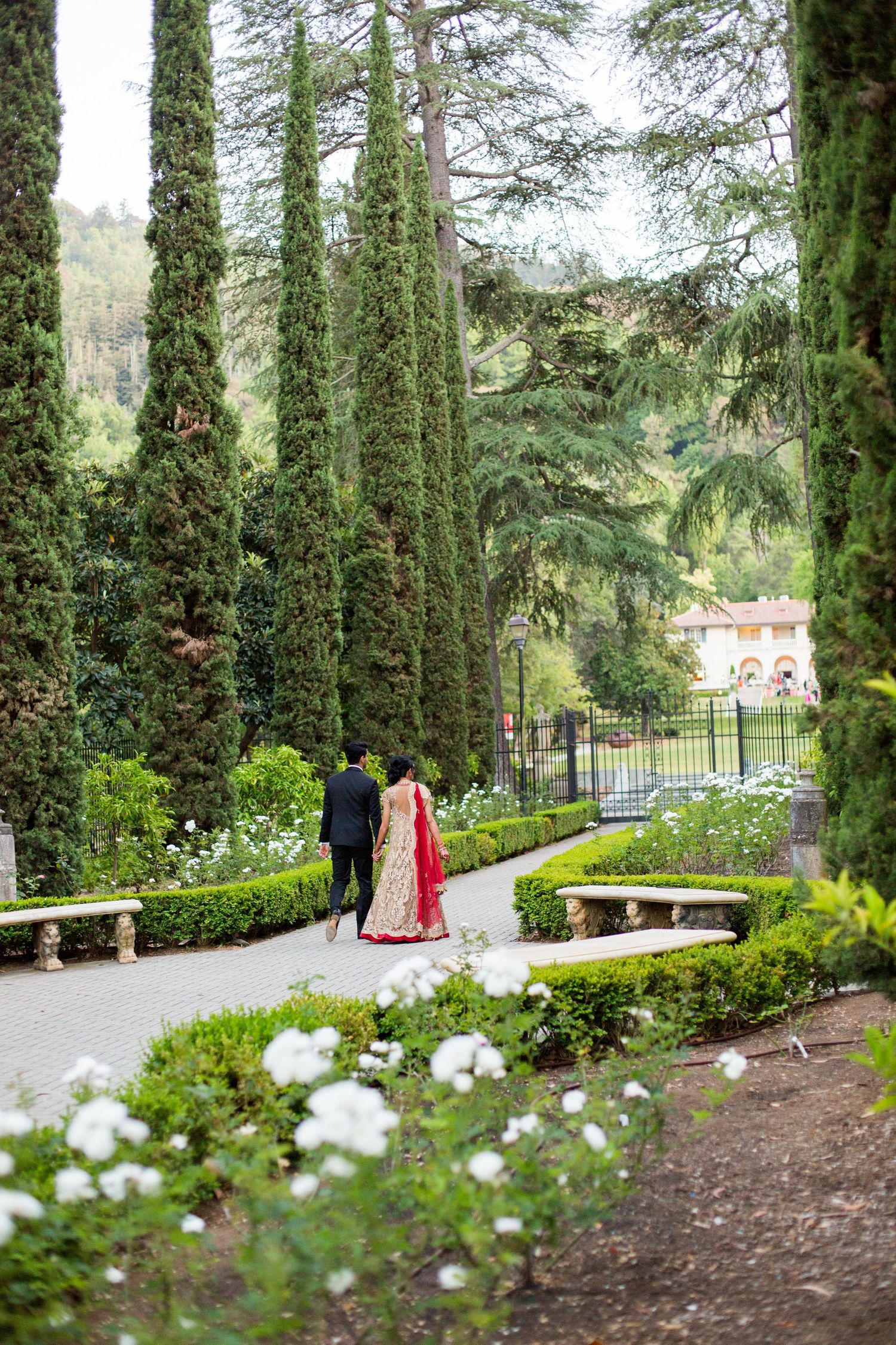 Garden pathway lined with cypress trees and white flowers creates romantic wedding setting.