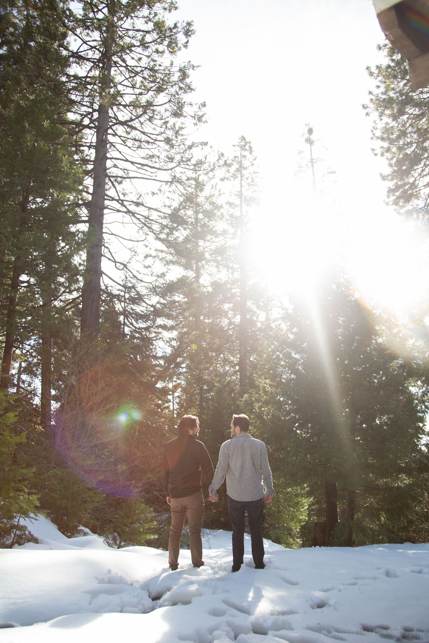 Two silhouettes stand in snowy woods with sunlight streaming through tall pine trees.