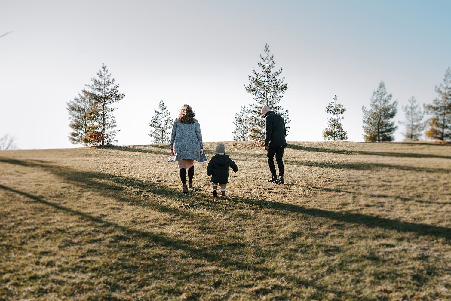 Three silhouetted figures walk together up a grassy hill with evergreen trees against a bright sky at sunset.