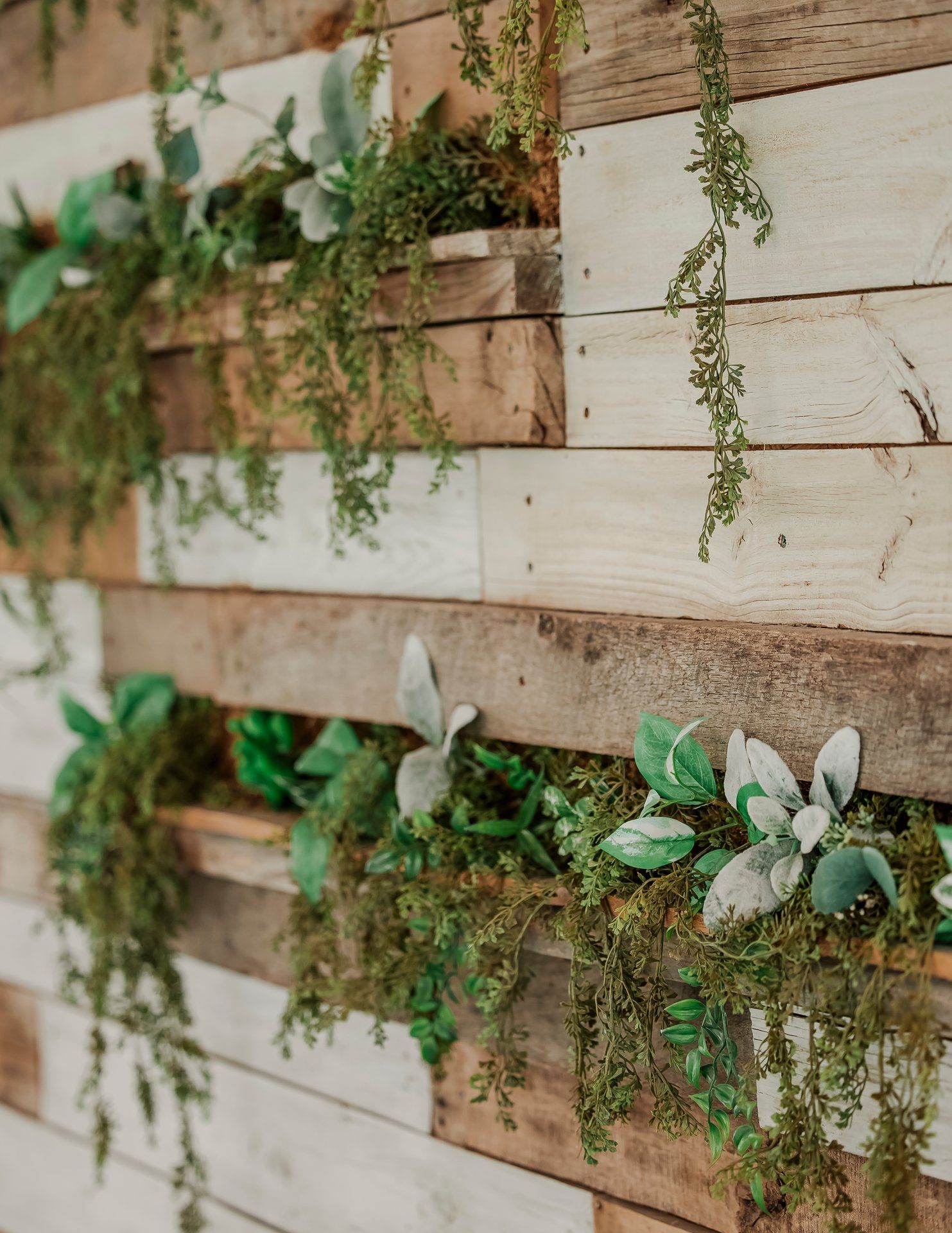 Delicate vines and greenery cascade down a rustic wooden wall creating an organic, natural backdrop.