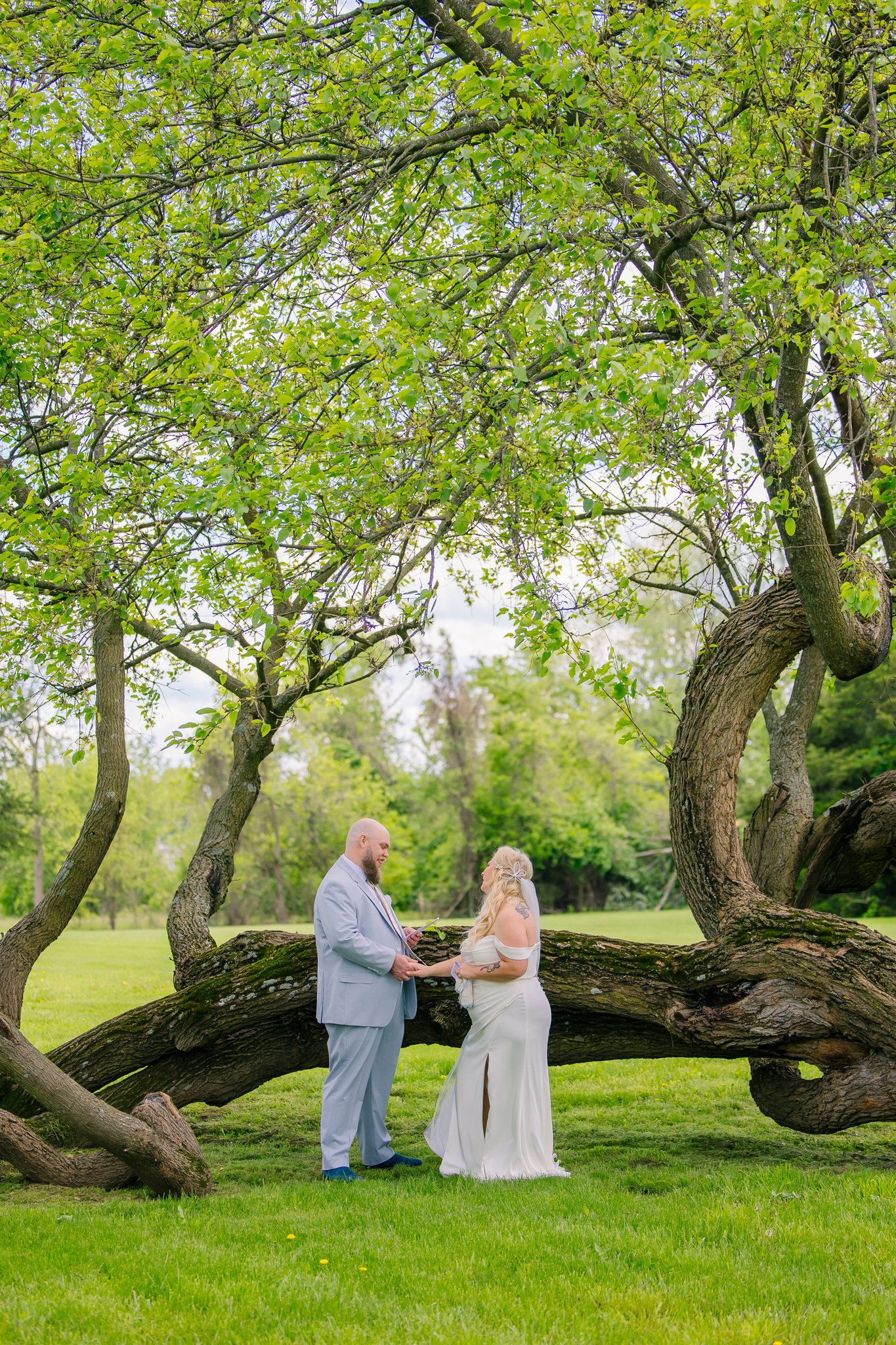 Couple sharing romantic moments on a grassy hill under a large twisted tree branch in a springtime setting in Springfield Mo.