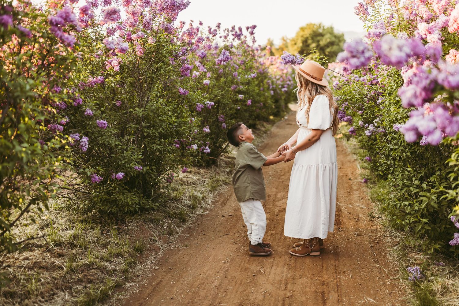 A dirt path winds through blooming lilac bushes on a warm spring evening.