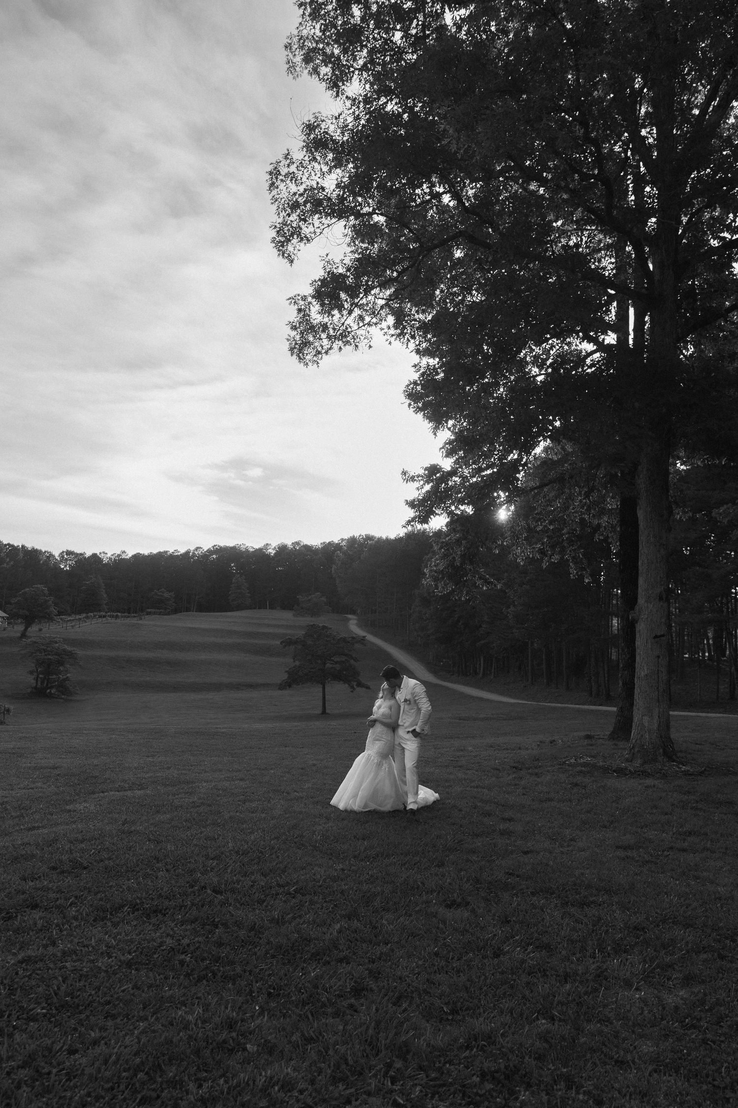 A black and white photograph of a newlywed couple embracing, looking over a scenic vineyard landscape at their Ellijay elopement.