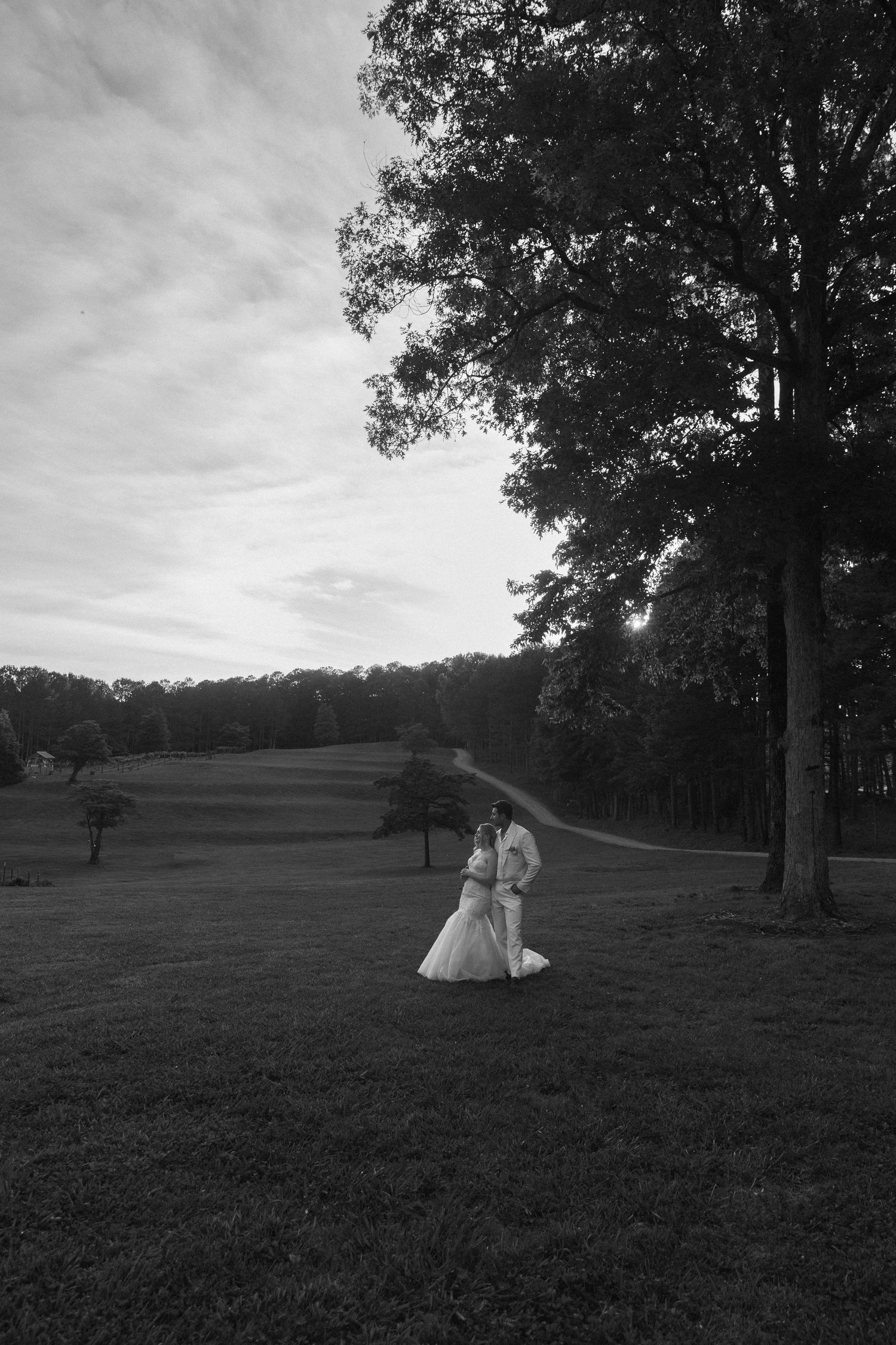 A black and white photograph of a newlywed couple embracing, looking over a scenic vineyard landscape at their Ellijay elopement.