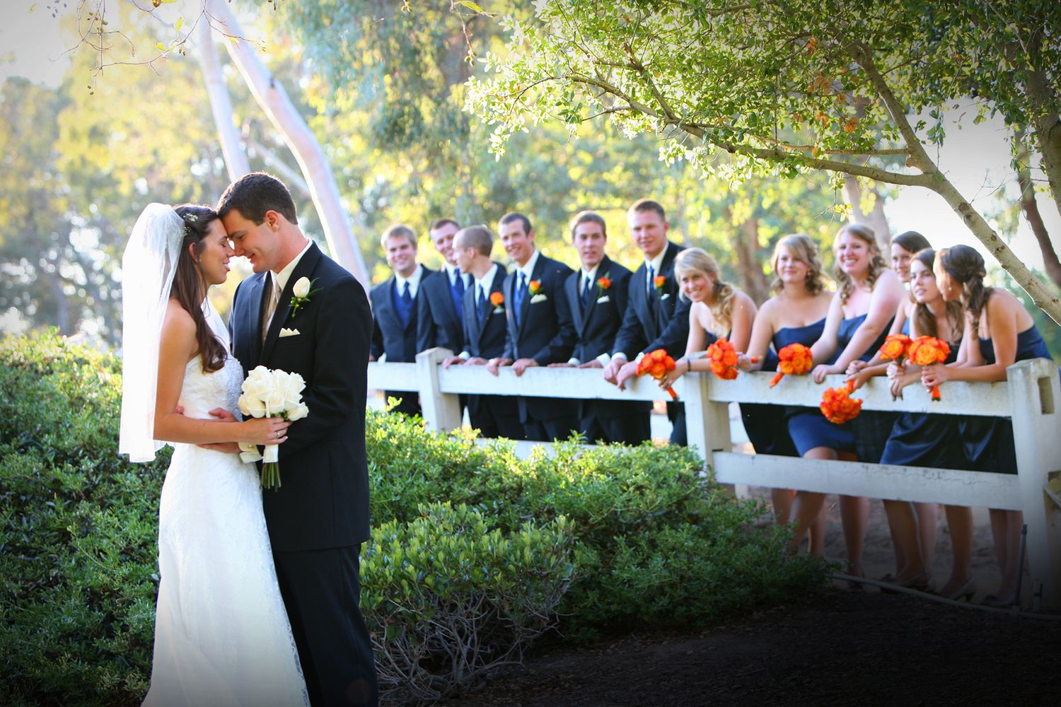 Wedding party lined up on garden benches watches the newlyweds share their first moment together.