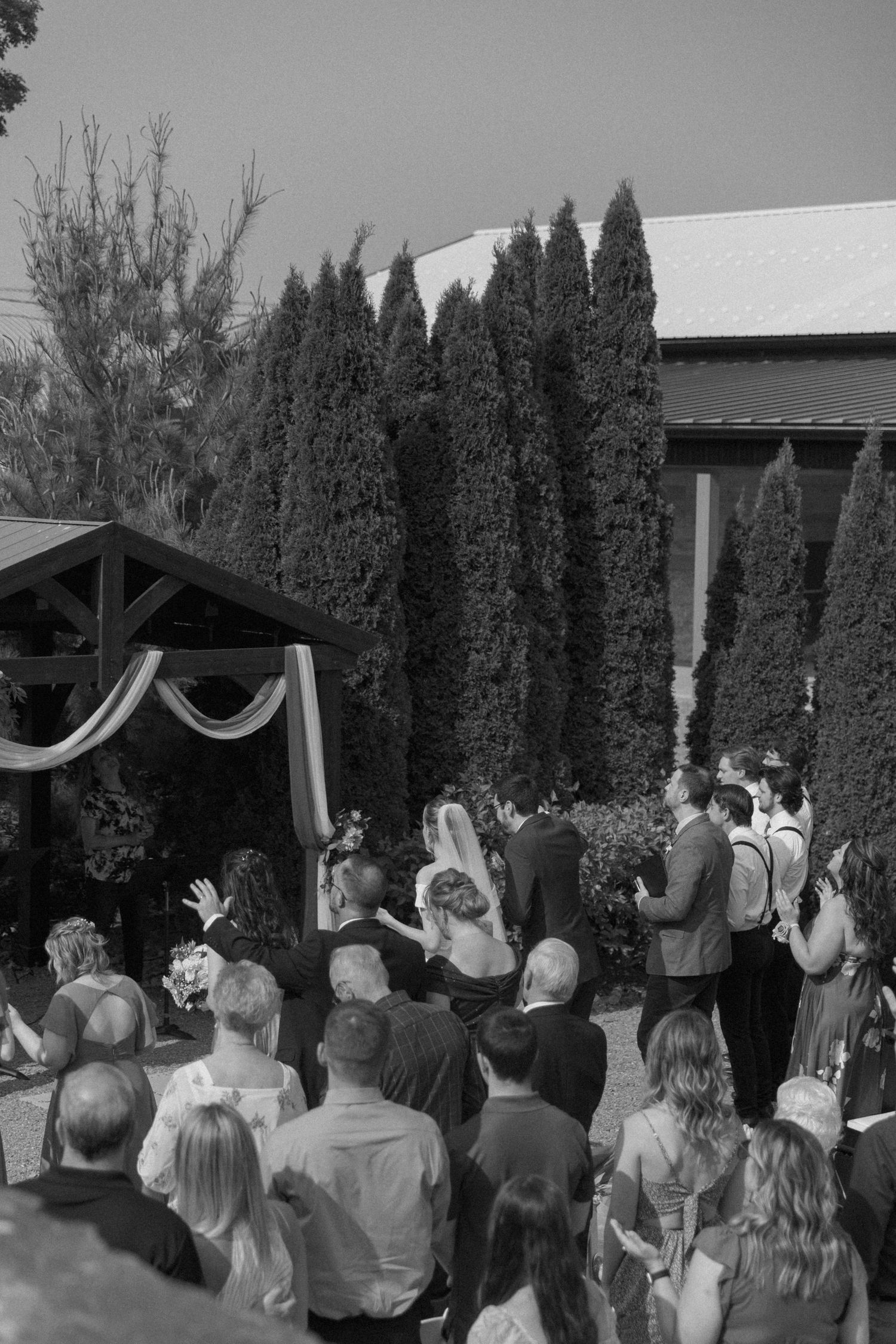 An outdoor wedding ceremony setup with tall cypress trees in the background and guests gathered under a draped canopy.