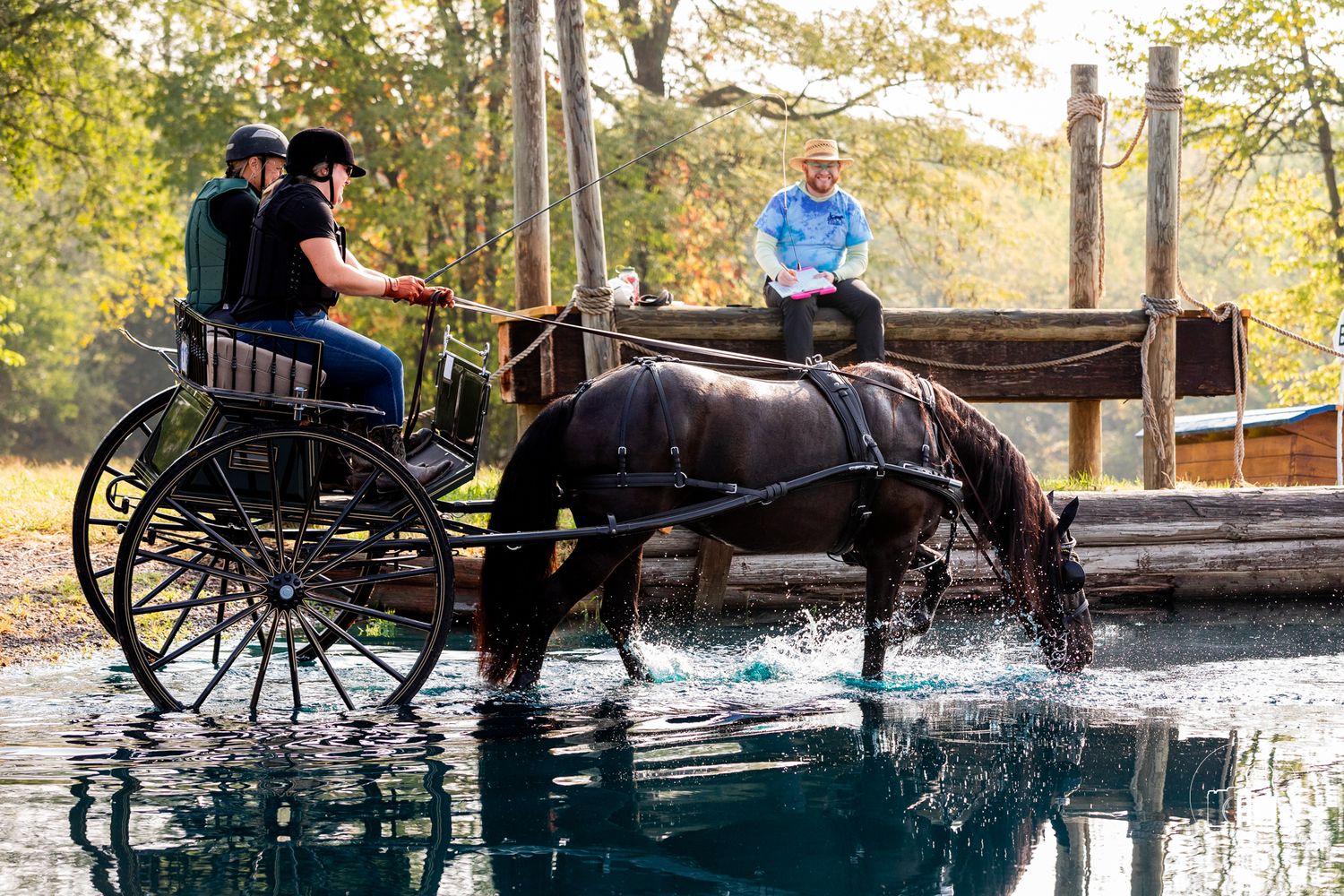 A horse-drawn carriage near a pond with autumn foliage in the background and reflections in the water.