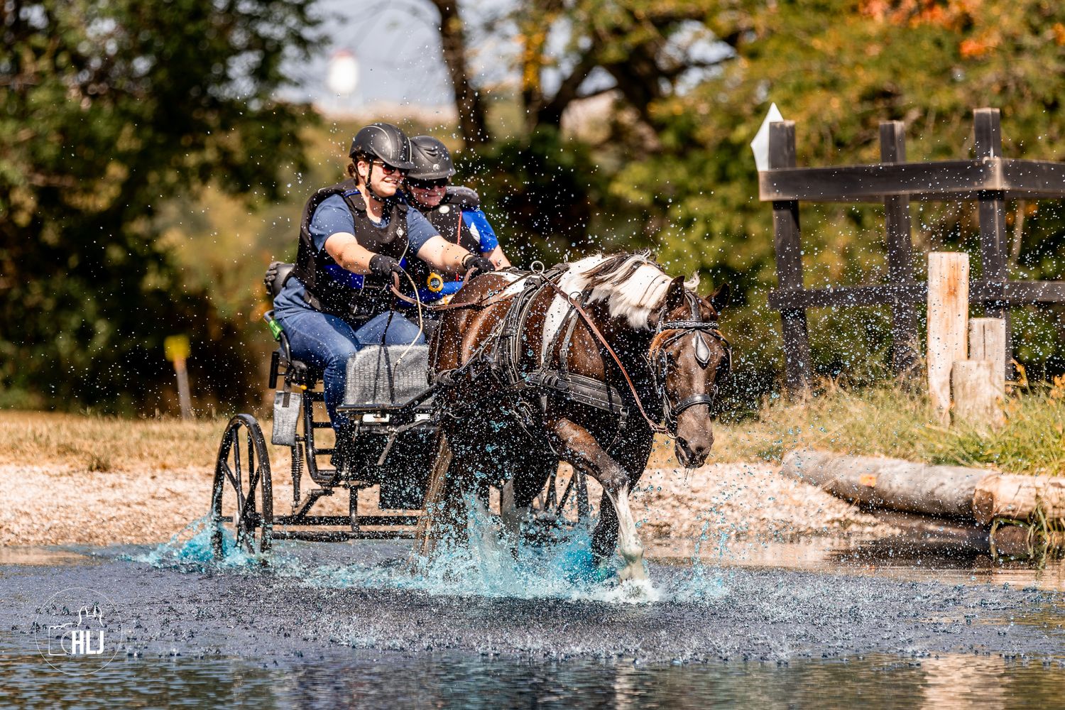 A horse-drawn carriage splashes through water during a cross-country driving competition on a sunny day.