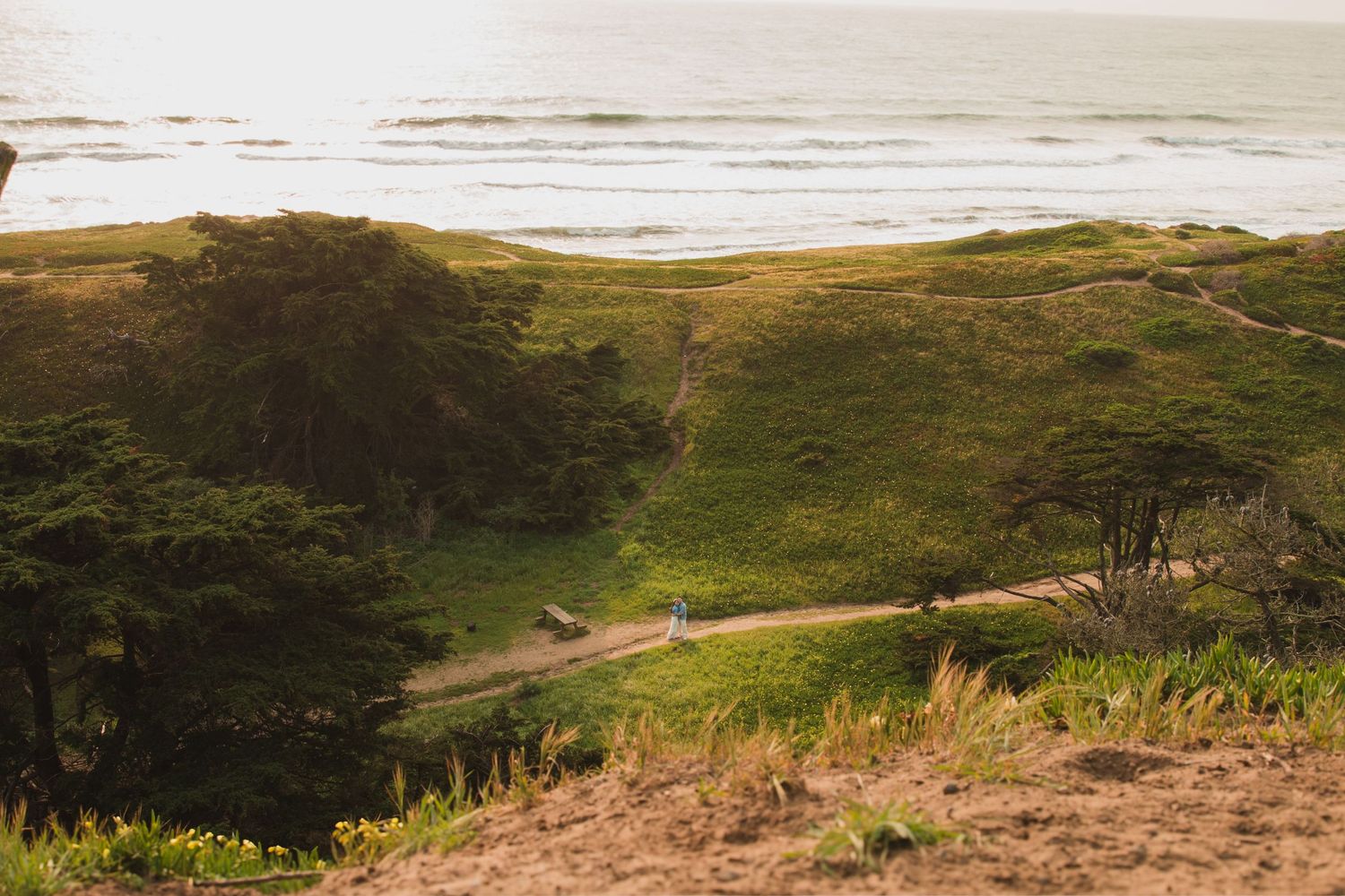 A narrow hiking path cuts through lush coastal cliffs above the Pacific ocean.