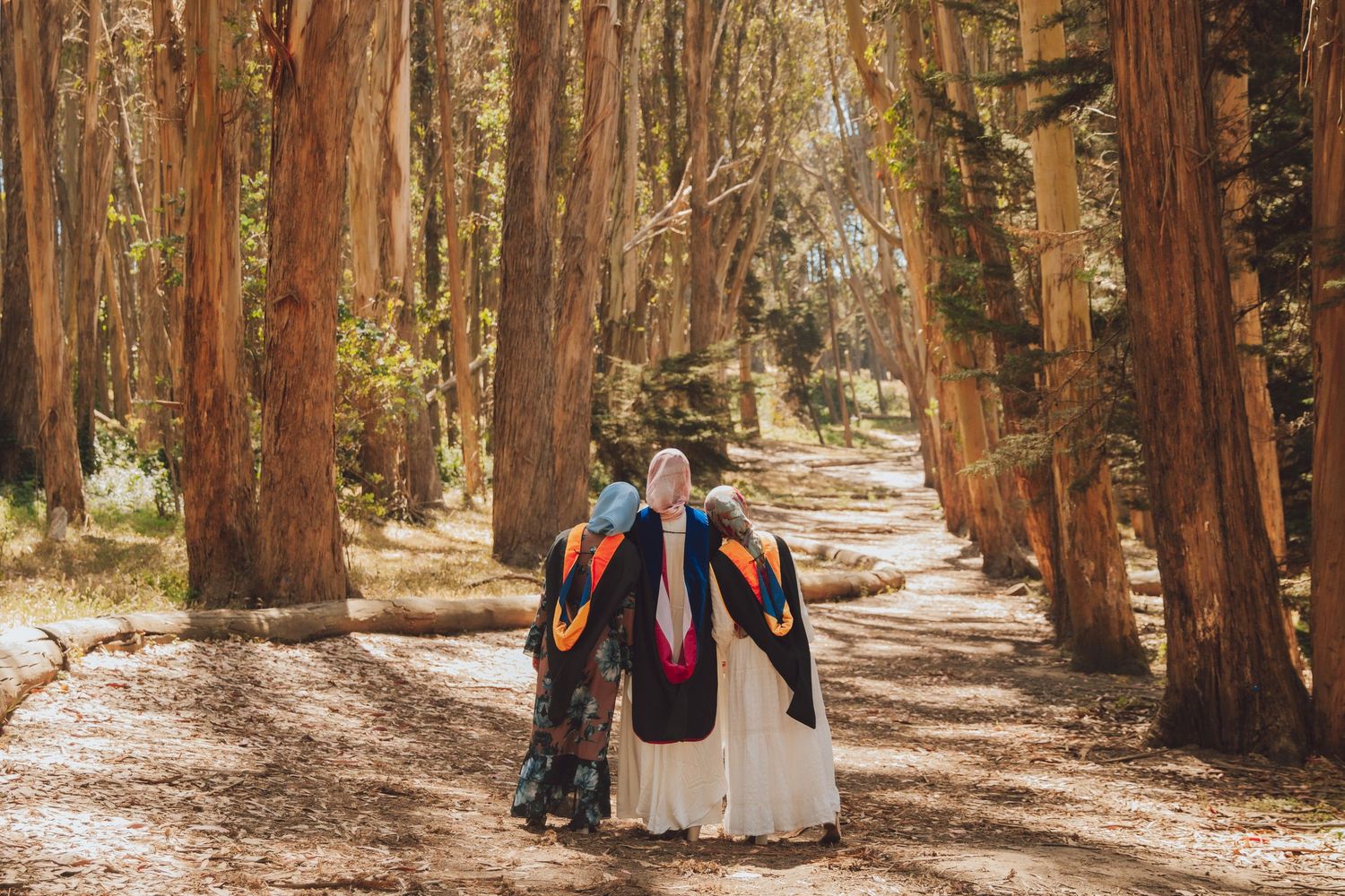 Two people walk hand in hand down a serene wooded path lined with tall eucalyptus trees on a sunny day.