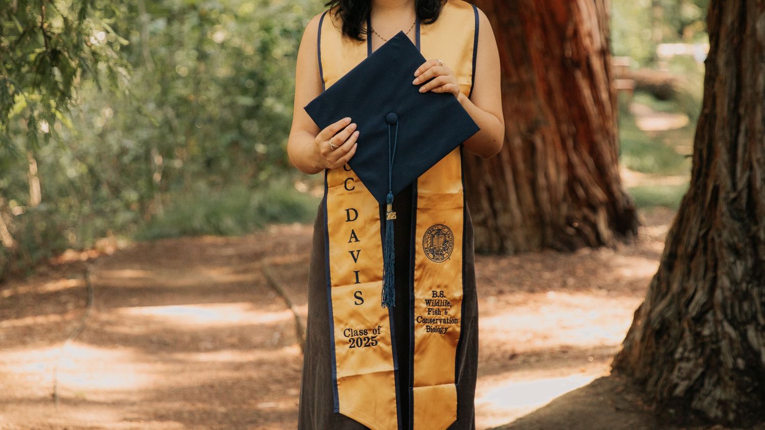 Graduate holds diploma while wearing a yellow graduation stole with decorative embroidery on dirt path near trees.