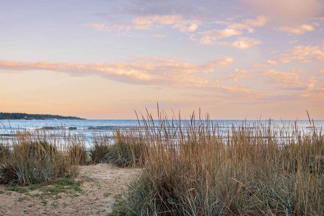 Naturbild på en vacker sandstrand med tuvor av högt gräs med utsikt över havet och horisonten i solnedgången. Familjefotograf, Umeå