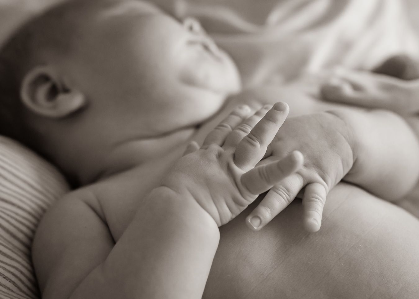 Svartvit närbild på en sovande bebis händer och överkropp mot ett mjukt täcke i sängen. Fotograf, nyföddfotograf, Umeå, Västerbotten