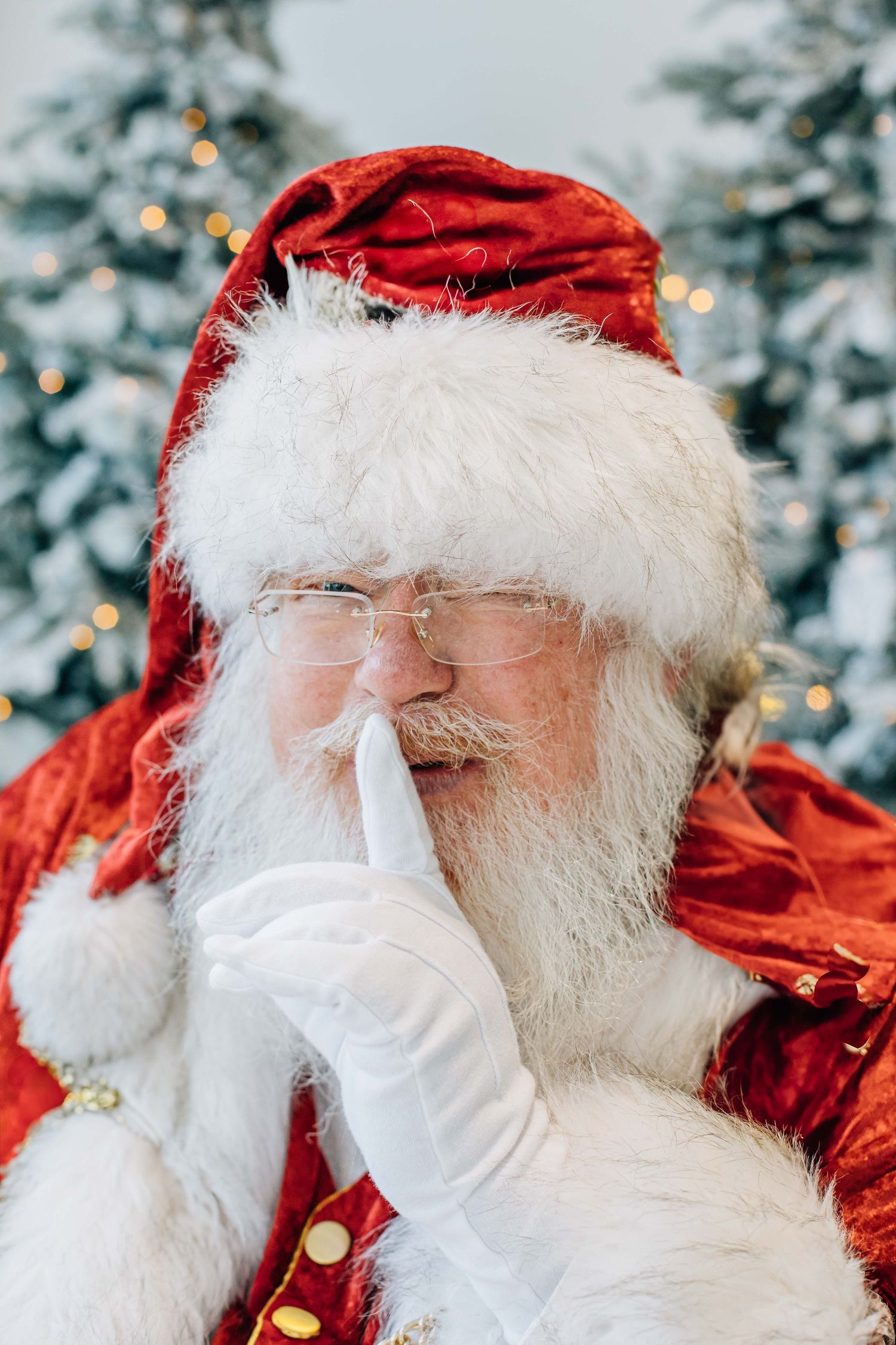 The Santa Experience in Milwaukee, WI