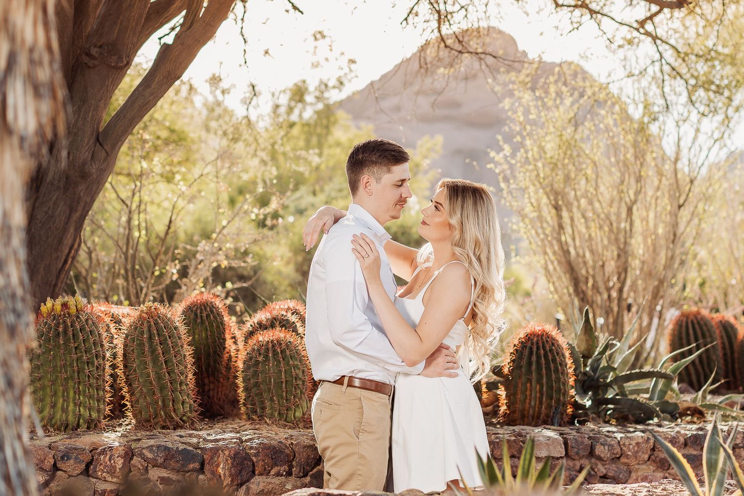 A romantic desert engagement photo session with cacti and golden sunlight in a Southwestern setting.
