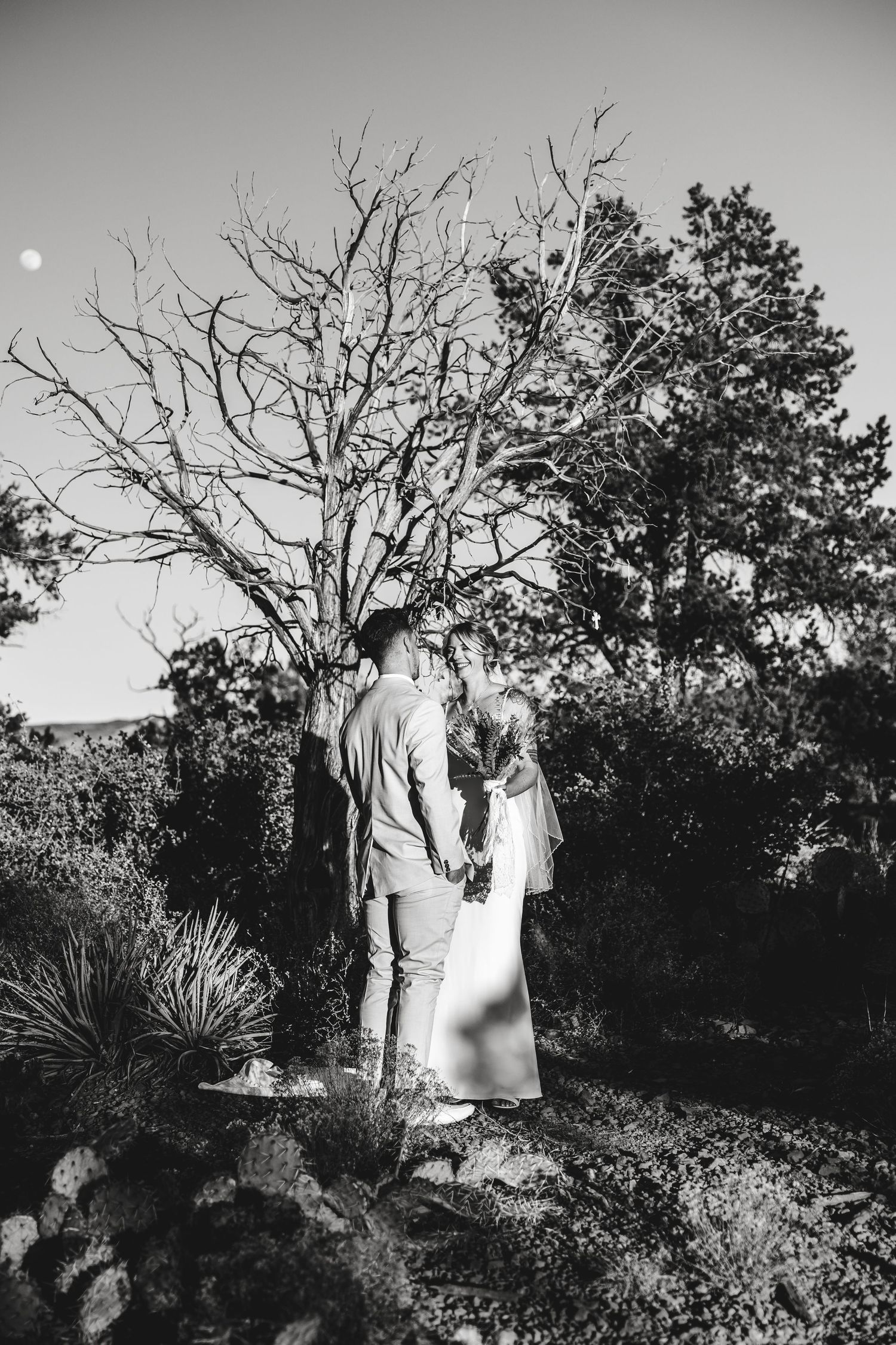 Black and white artistic photo of two people standing together under a bare tree on a hilltop during sunset.