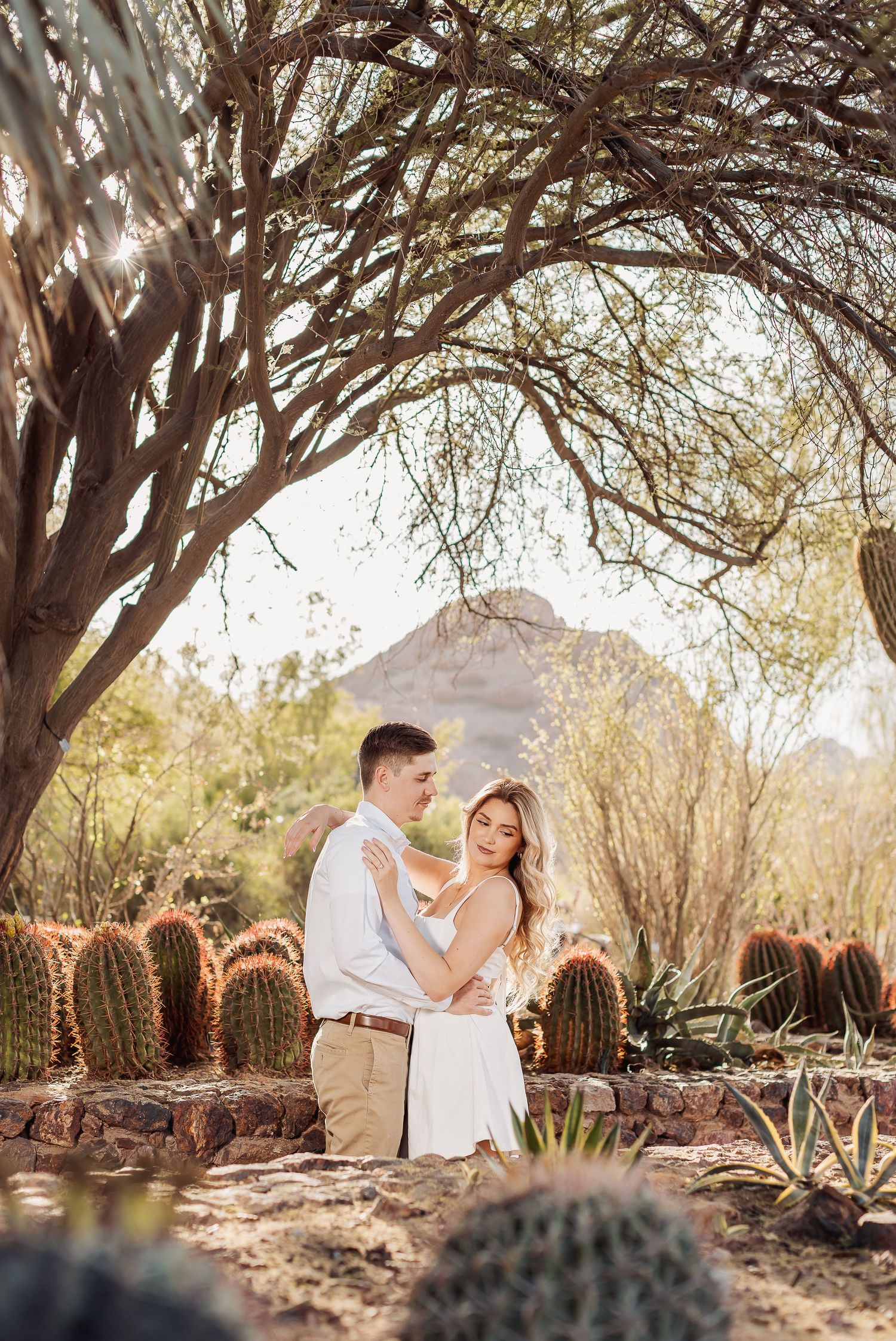 Romantic couple embraces in desert garden with mountain backdrop and dramatic tree canopy overhead, surrounded by cacti.