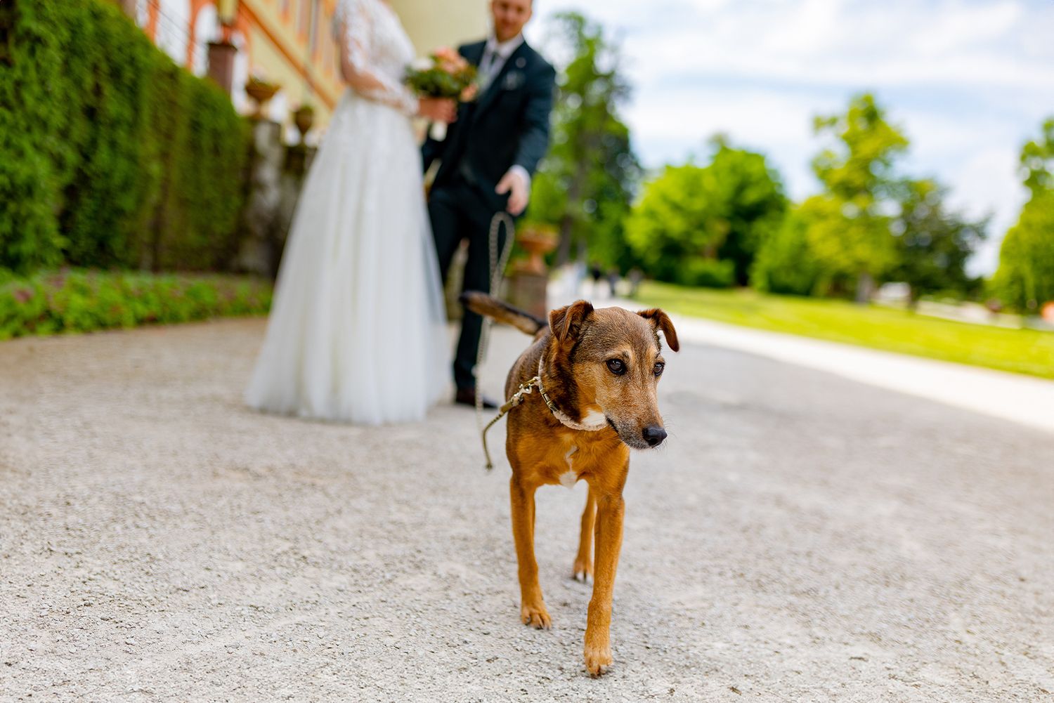 first-look-hochzeitsfotografie-tipps-fuer-brautpaare-4.jpg