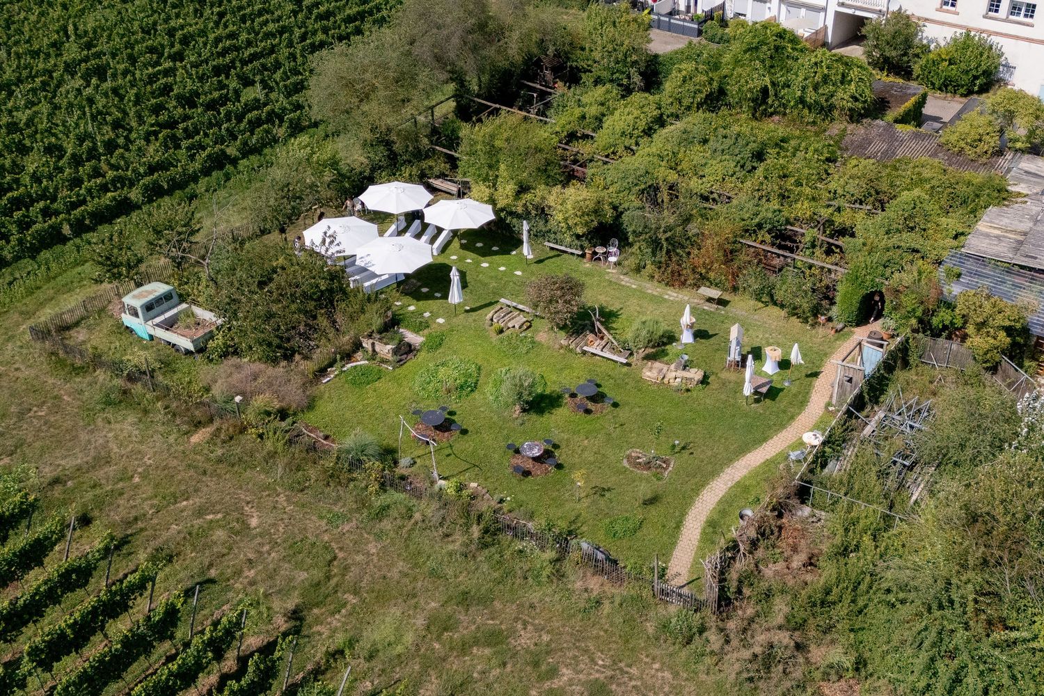 hochzeitsfotograf-neustadt-hambacher-schloss-ruppertsberg-kellers-keller-38.jpg