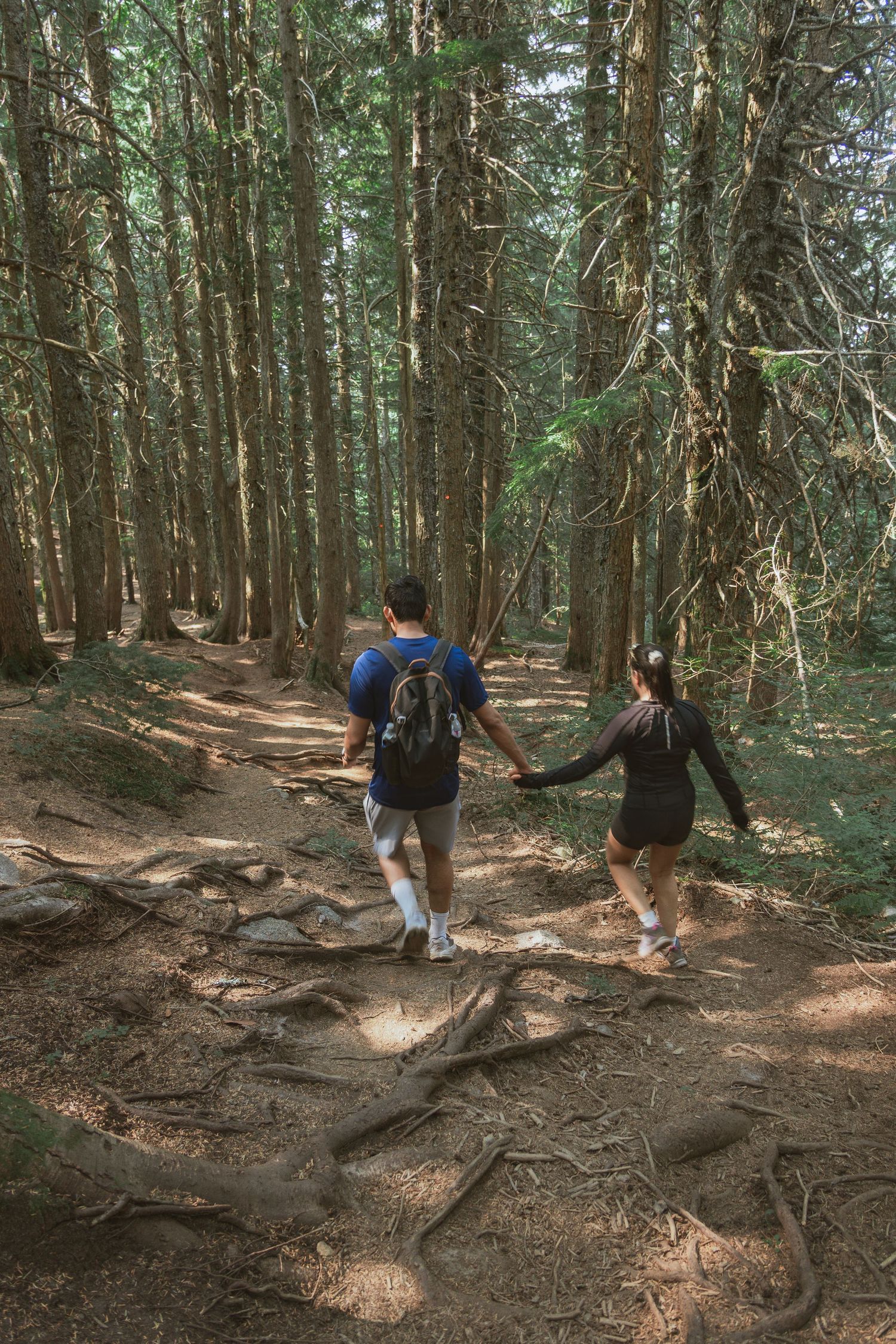 Couple hiking in natural light together between trees on the Eagle Bluff Hike in Vancouver, Canada