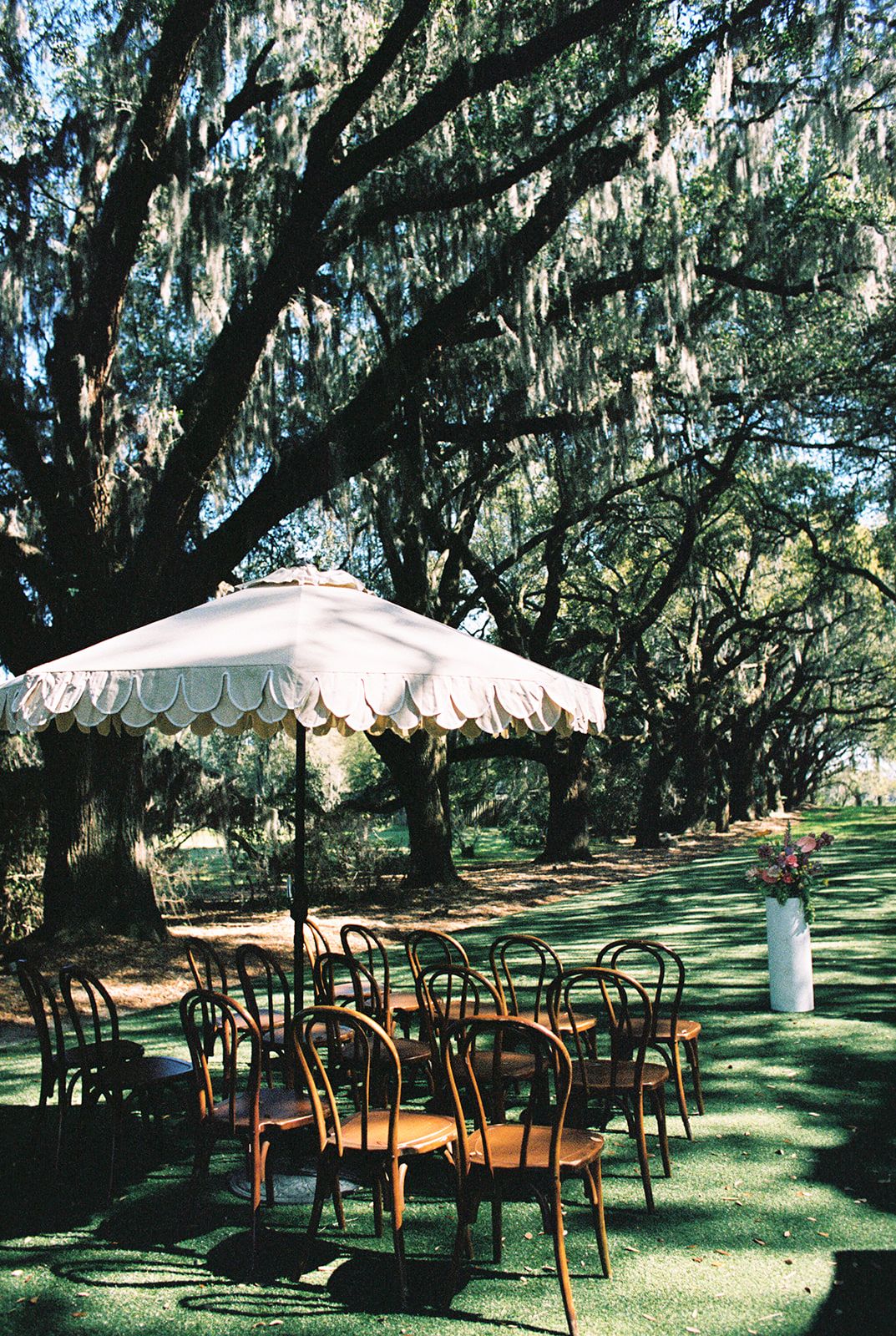 Vintage bentwood chairs and white umbrella set up for an outdoor event under Spanish moss-draped trees.