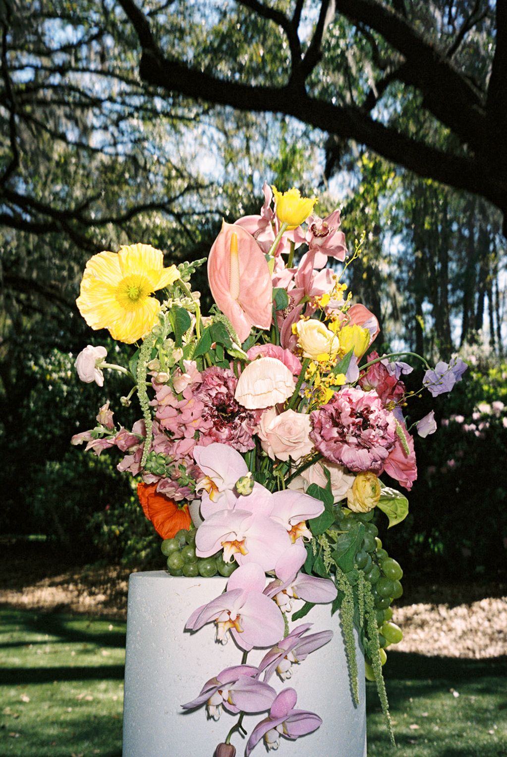 Fresh spring bouquet with pink and yellow flowers arranged in a white ceramic vase outdoors in sunlit garden setting.