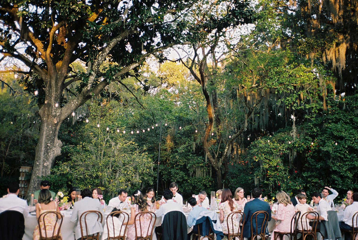 Wedding guests dine at long tables during an outdoor reception under a canopy of trees at dusk.
