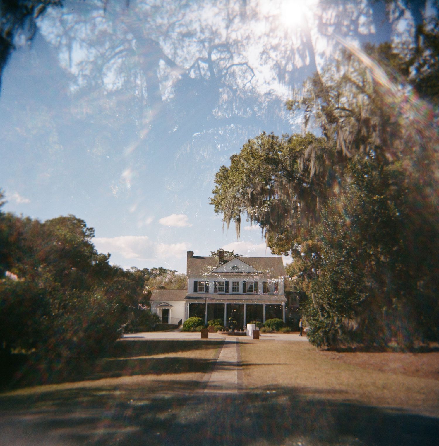 A panoramic photo series of a historic white plantation mansion with Spanish moss draped oak trees on sprawling grounds.