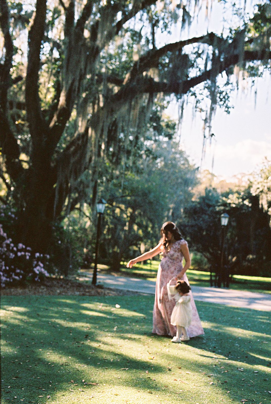 A dreamy wedding photo sequence showing a couple sitting together on grass beneath moss-draped oak trees at sunset.