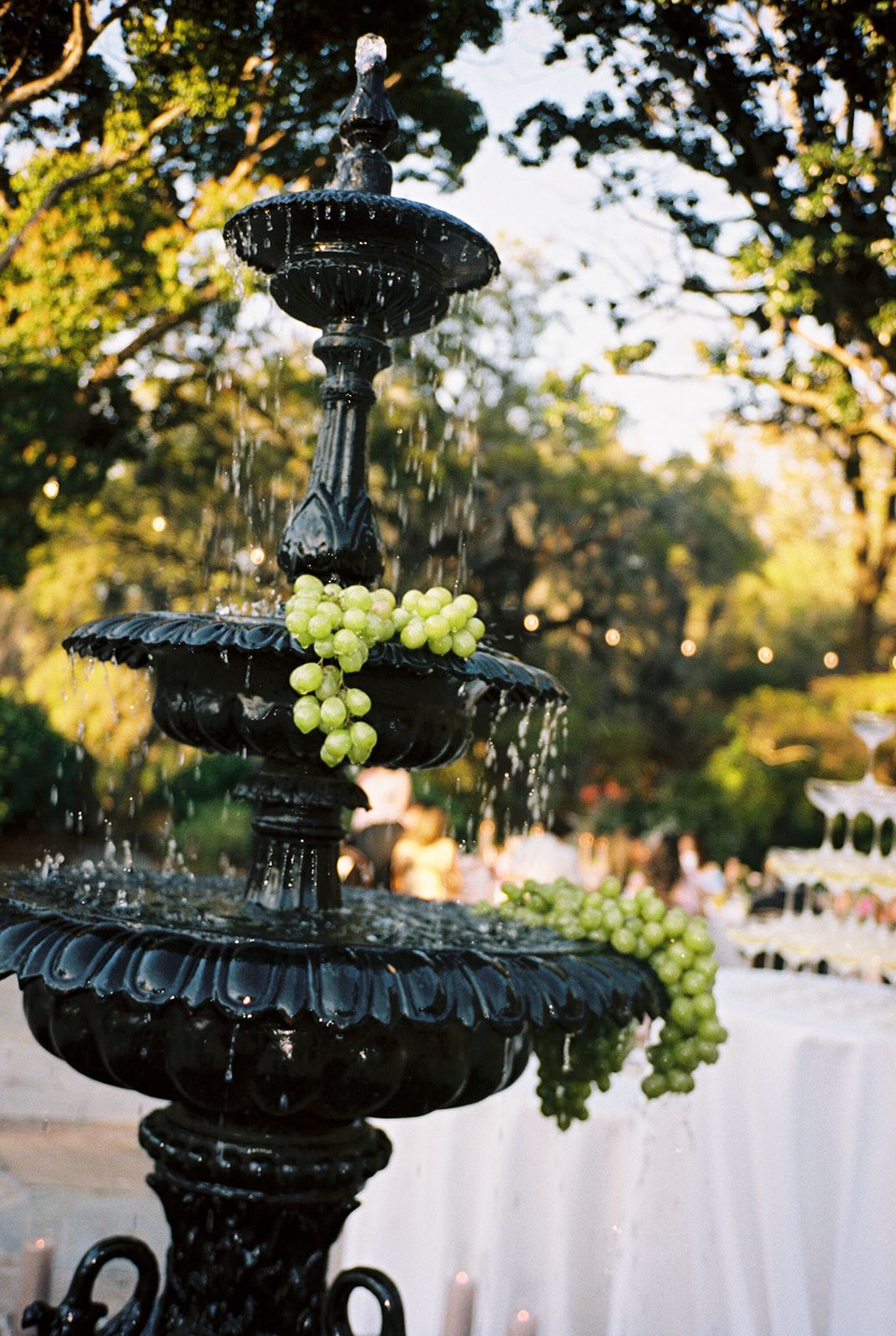 Elegant black tiered fountain decorated with fresh green grapes and flowing water in a garden setting at sunset.