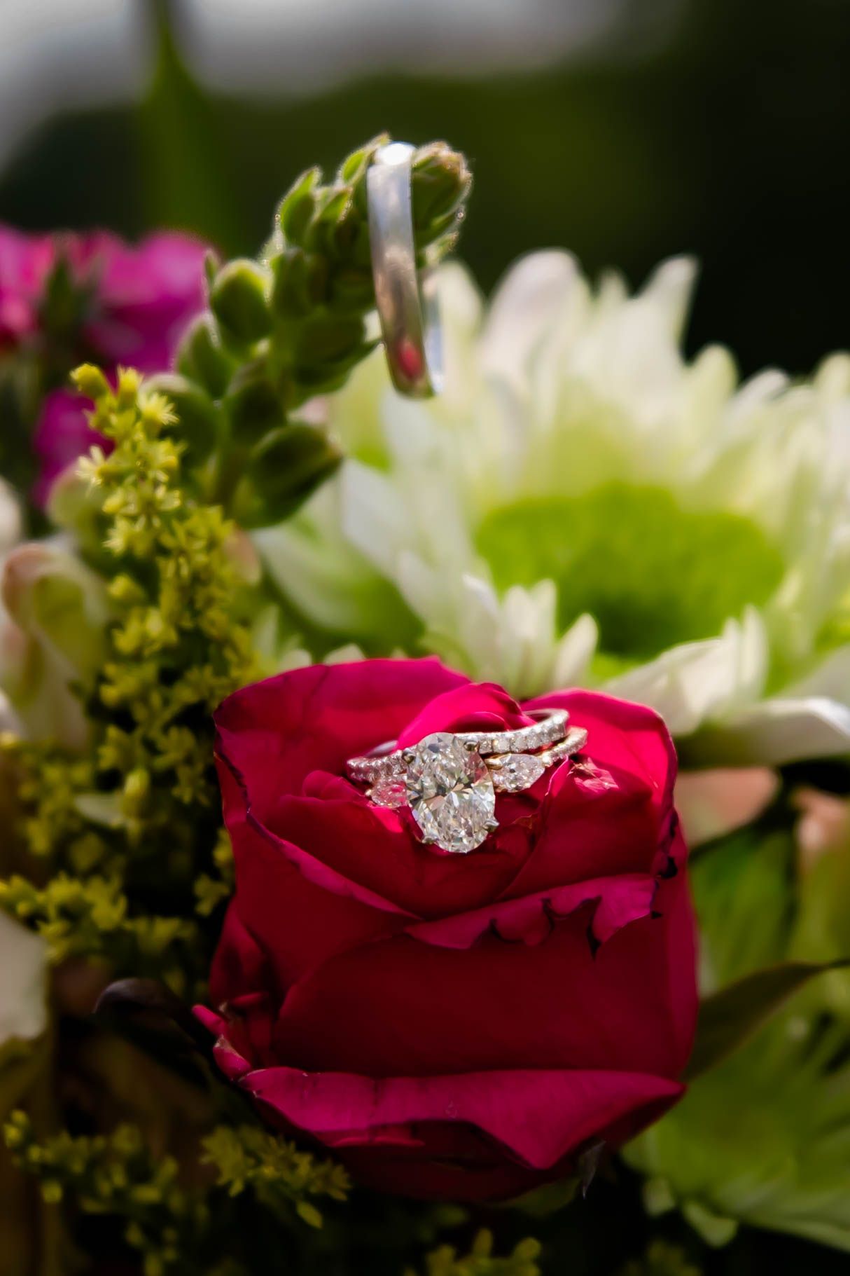 Diamond engagement ring rests elegantly on a deep red rose petal amid white and pink floral arrangement.