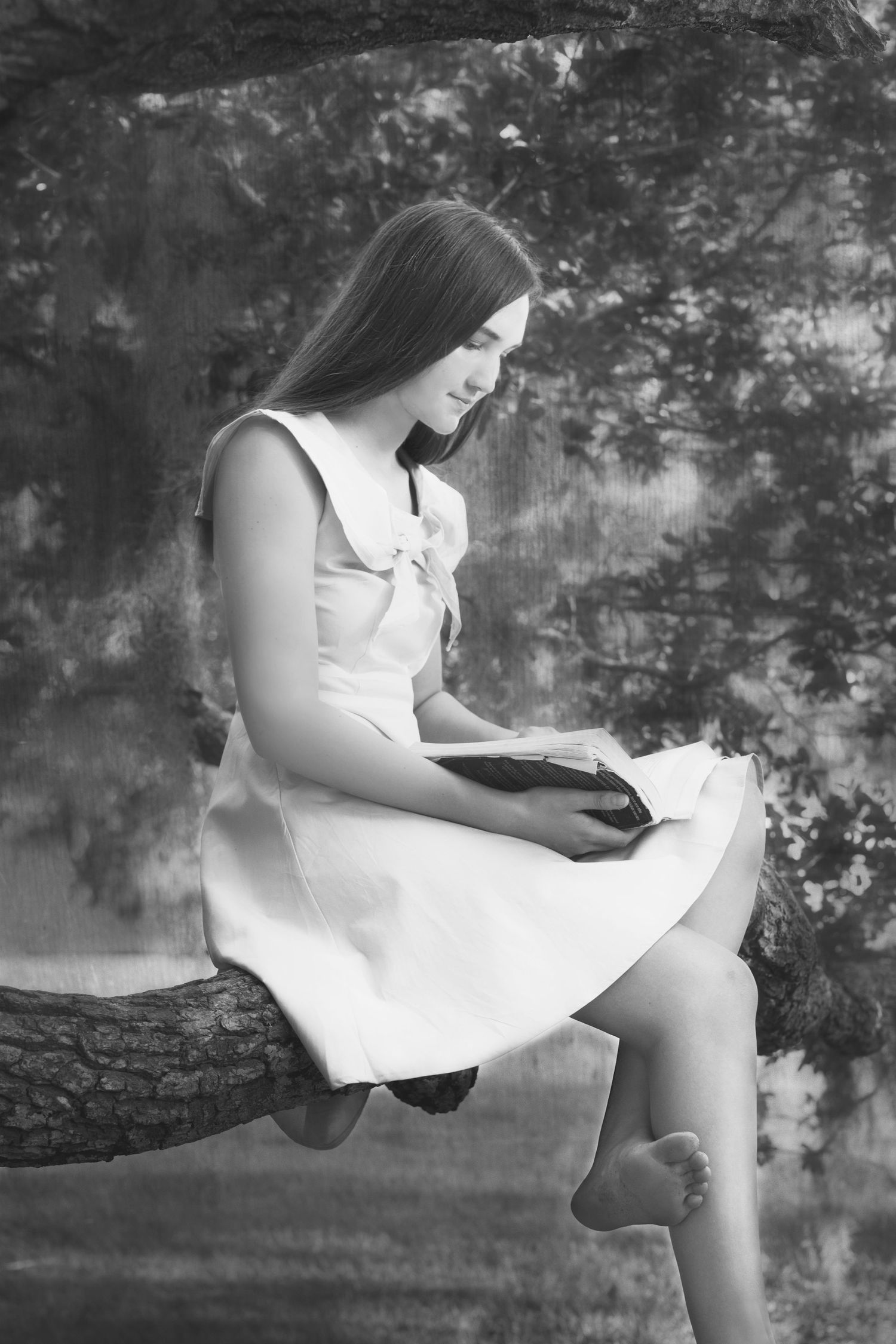 A black and white photo series shows someone in a white dress reading while sitting on a tree branch in nature.