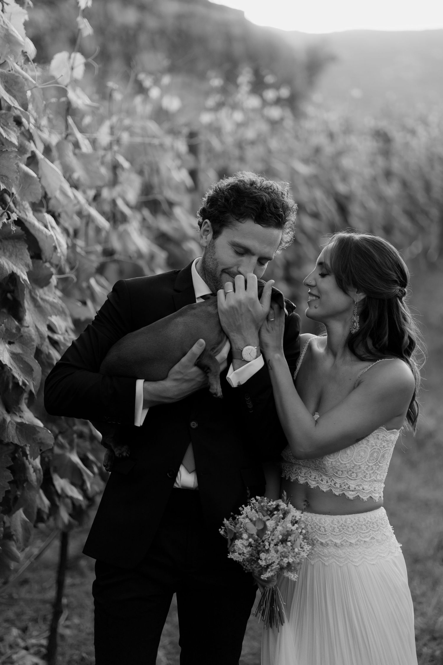 Black and white photo of a romantic newlywed couple sharing an intimate moment in a vineyard with a bridal bouquet and their dog