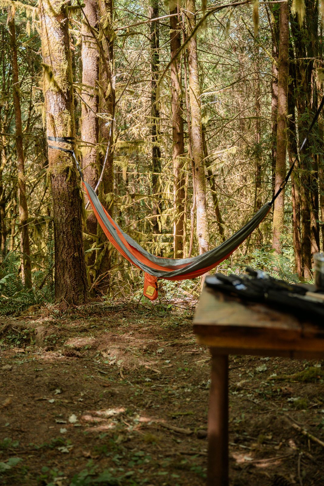 Colorful hammock strung between trees in mossy forest setting.